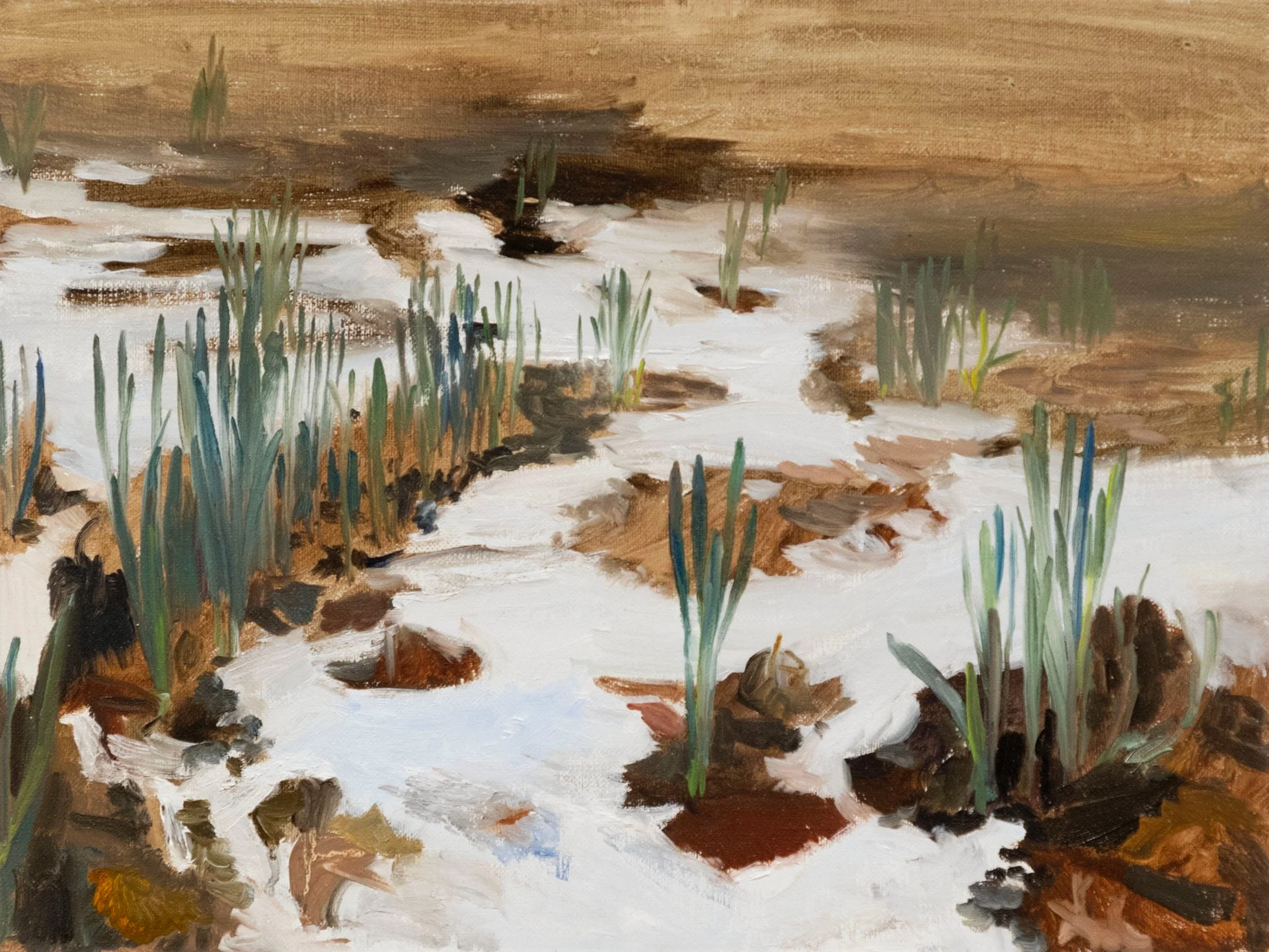 manhattan-central-park-early-daffodils-oil-painting-9x12-01.jpeg