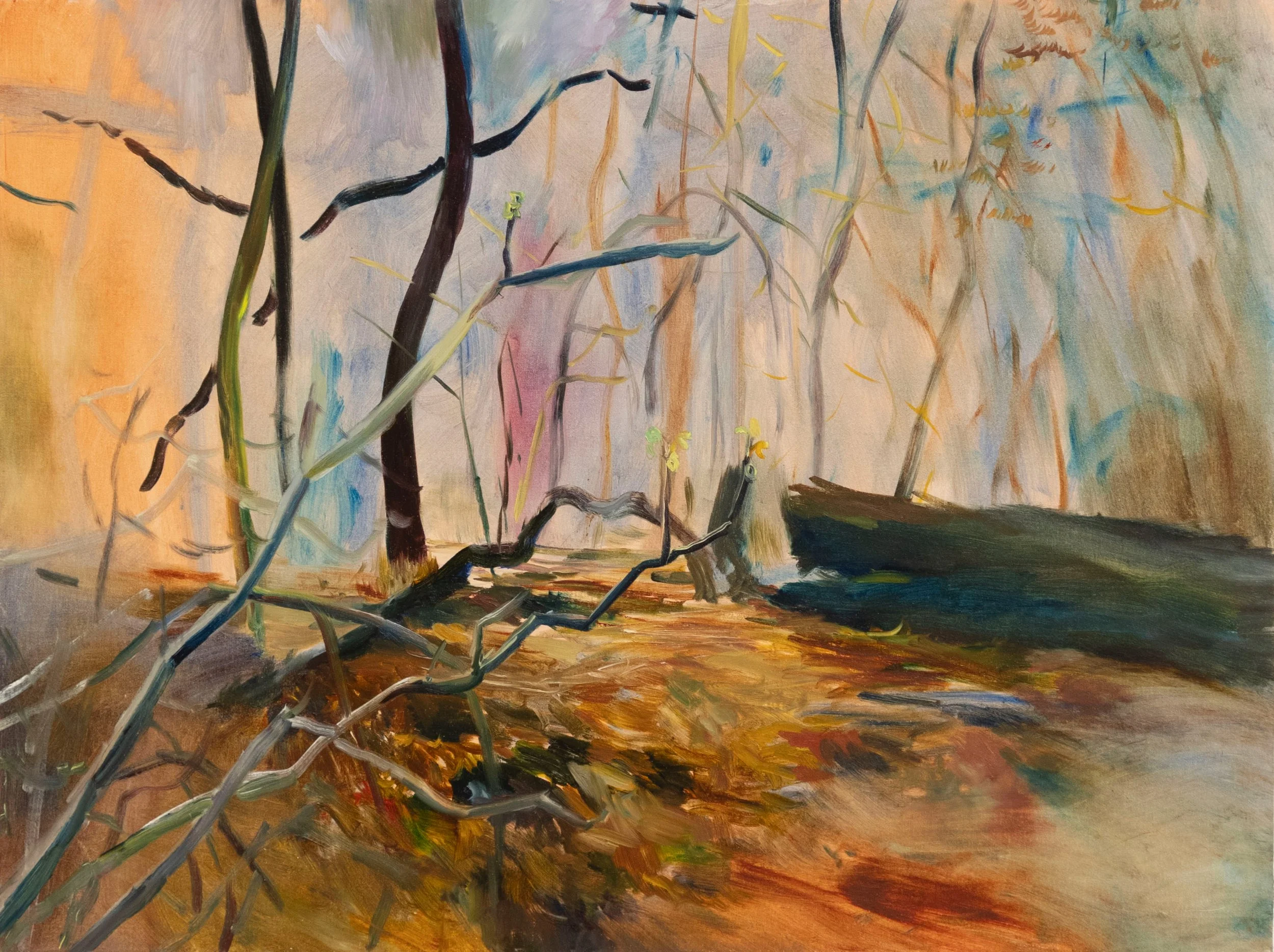 central-park-early-bud-oil-painting-18x24-01.jpeg