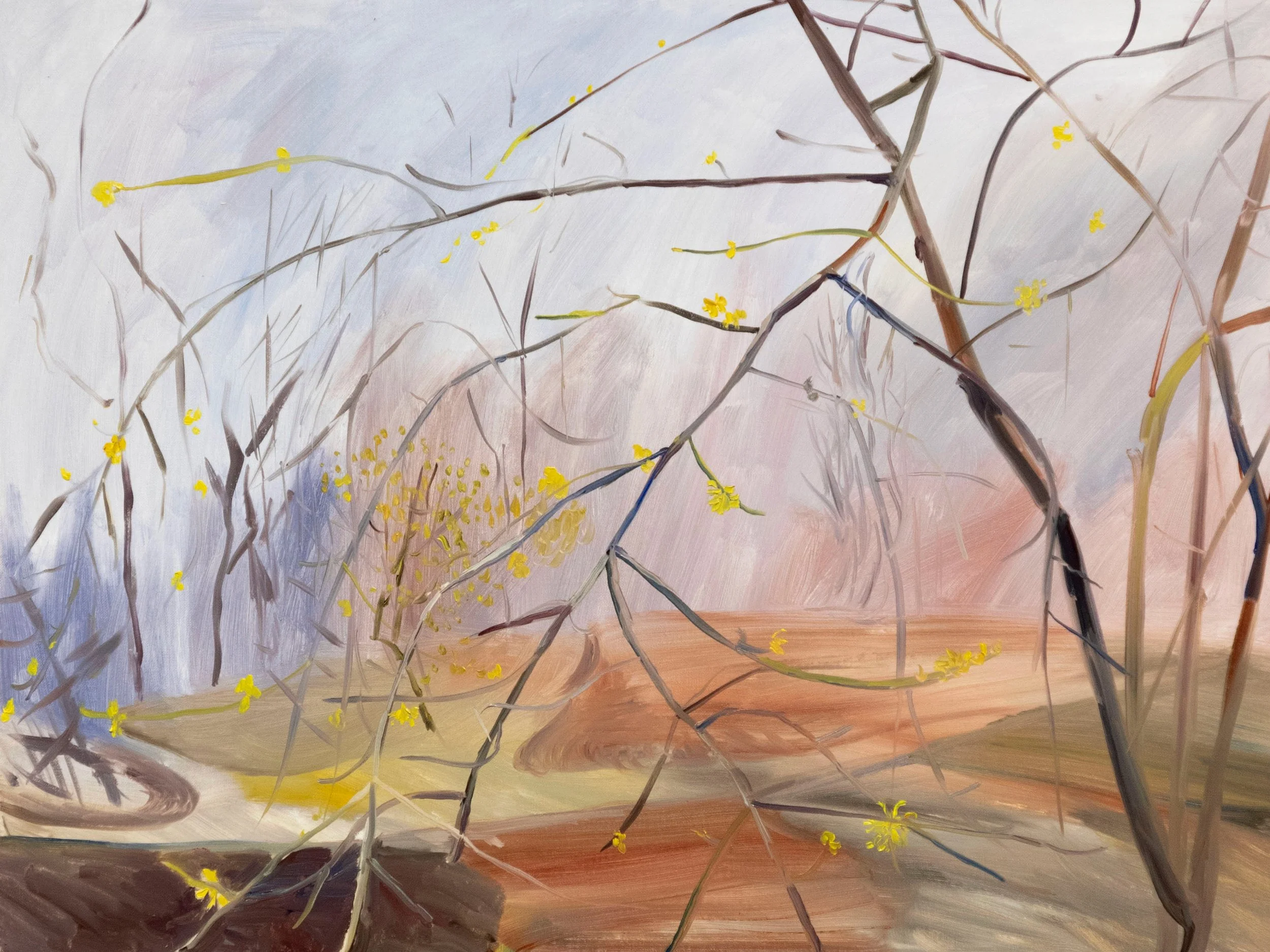 central-park-forsythia-oil-painting-18x24-01.jpeg