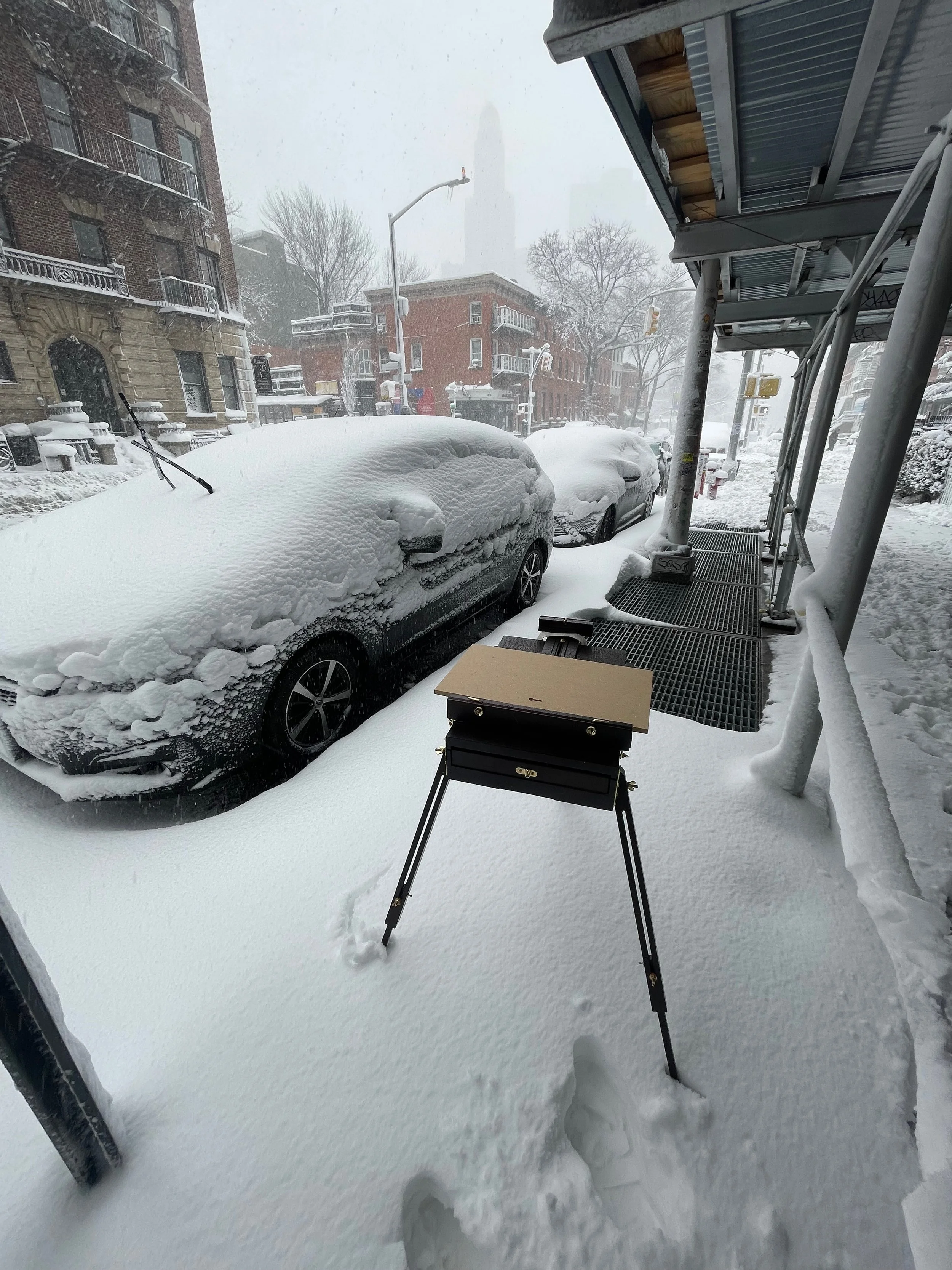 fort-greene-brooklyn-lafayette-and-south-portland-in-the-blizzard-oil-painting-10x18-04.jpeg