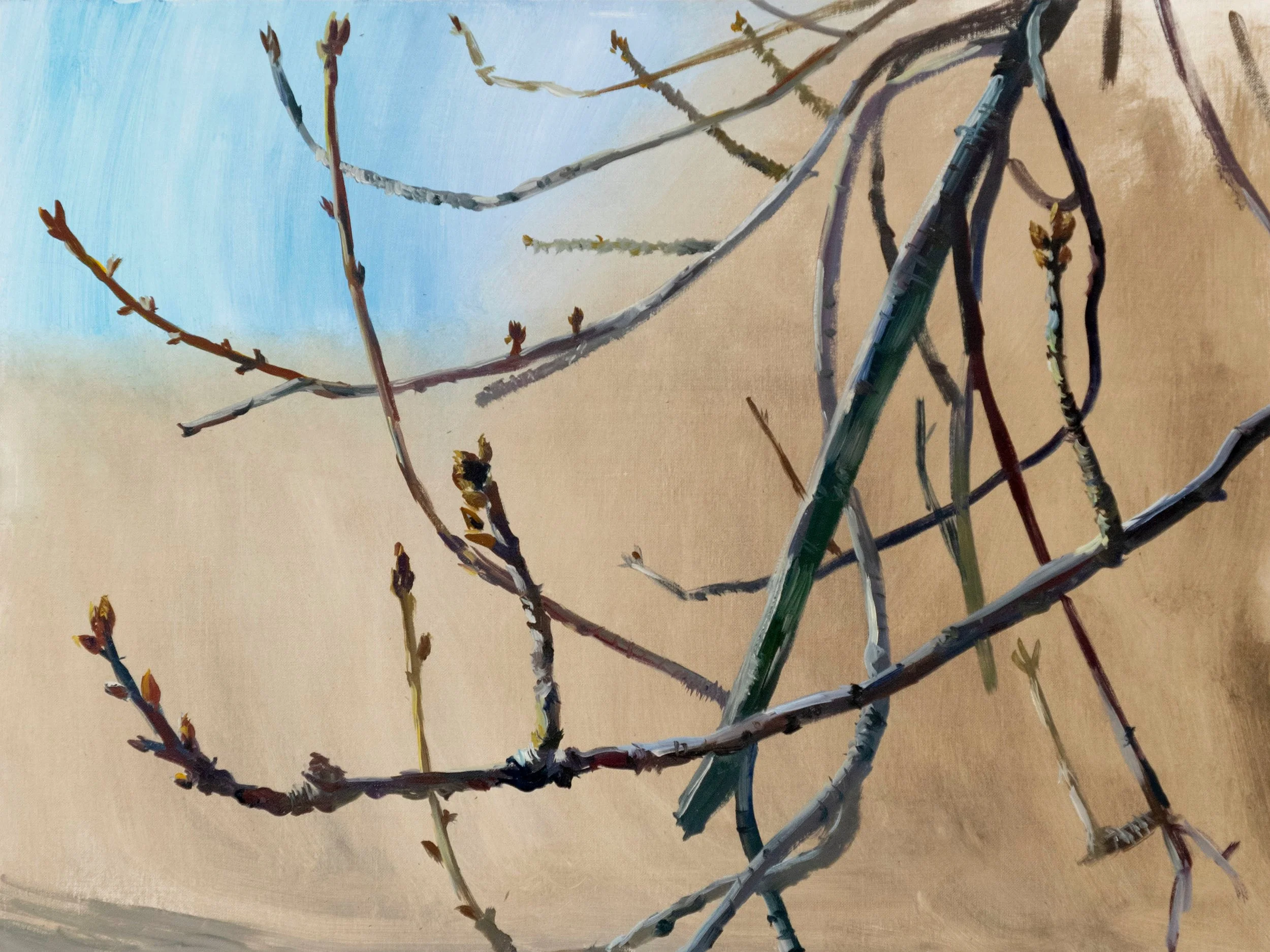 March Buds