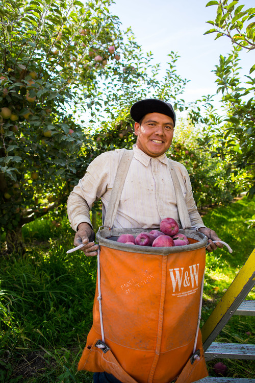 Broetje Orchards