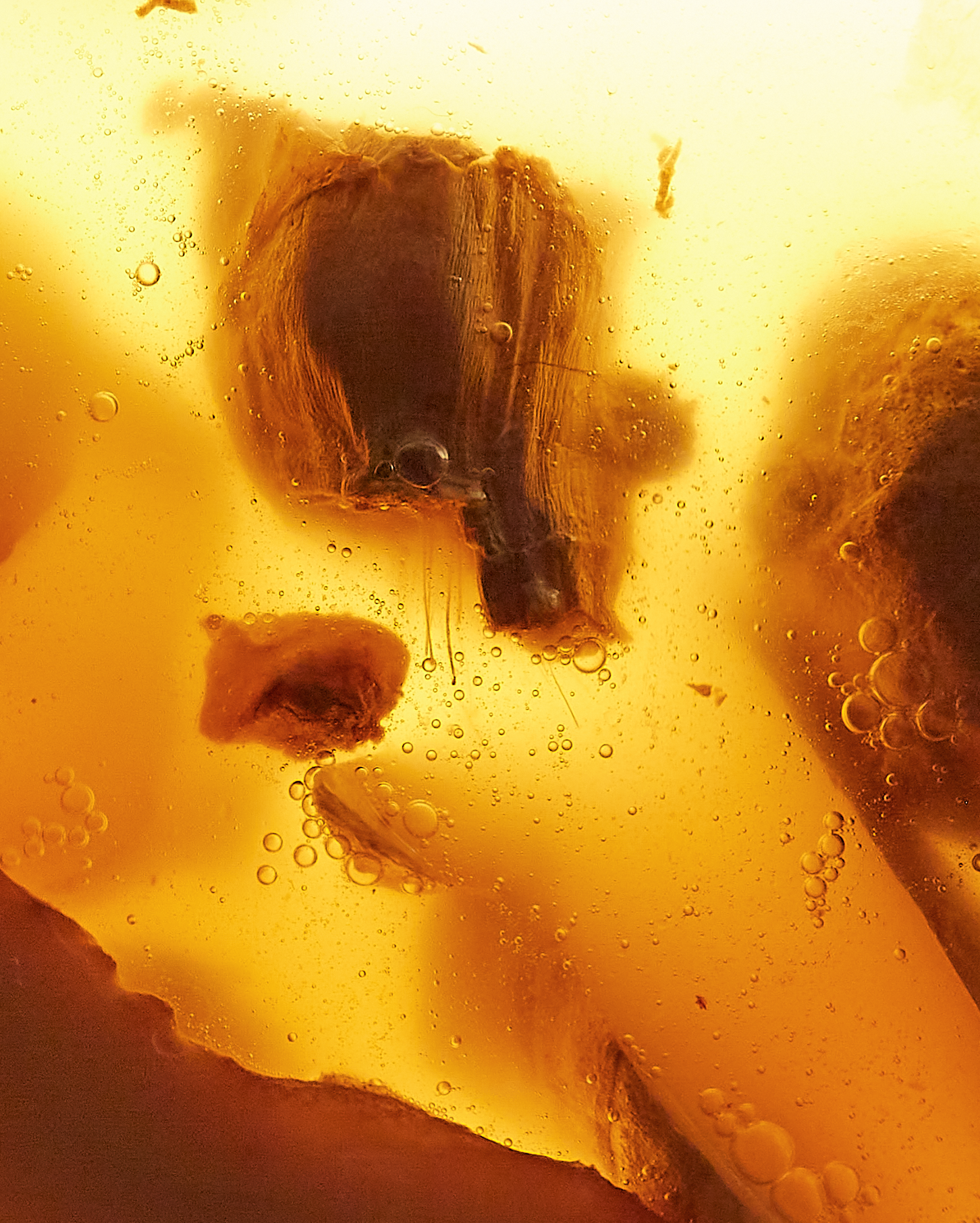 Screen Shot 2022-03-27 at 7.17.18 PM.PNG