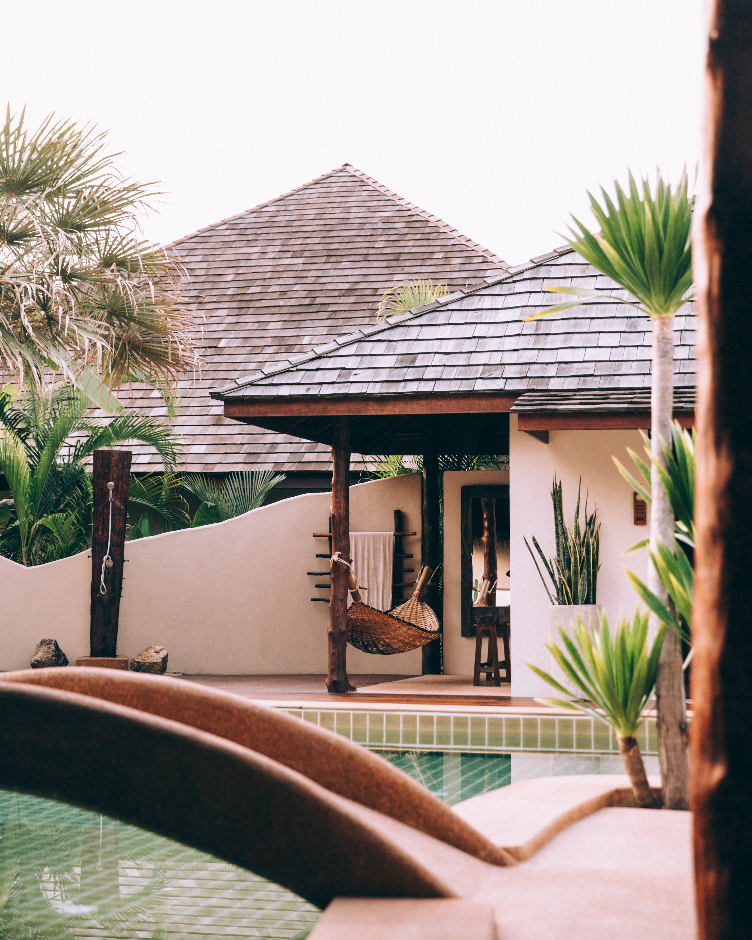 palm-trees-beyond-poolside-hammock.jpg