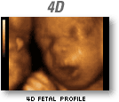 4d-ge.gif