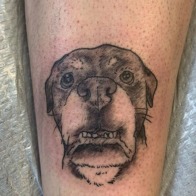 Sketchy simple pupper portrait done today @darkhearttattoo  #tattoo #tattoos #dogtattoo #dogtattoos #dogtattooportrait
