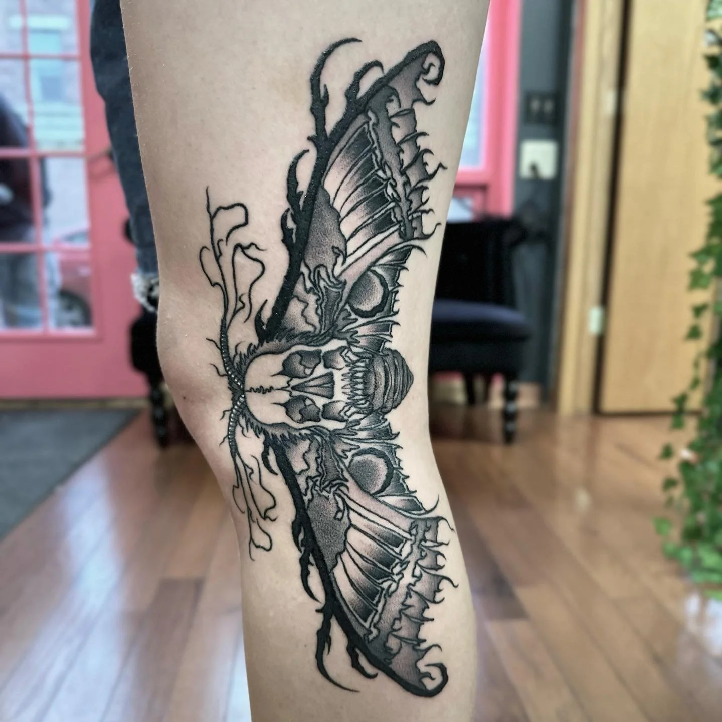 moth shading from yesterday! 
his name is Ferdinand (: