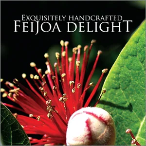 feijoa.jpg