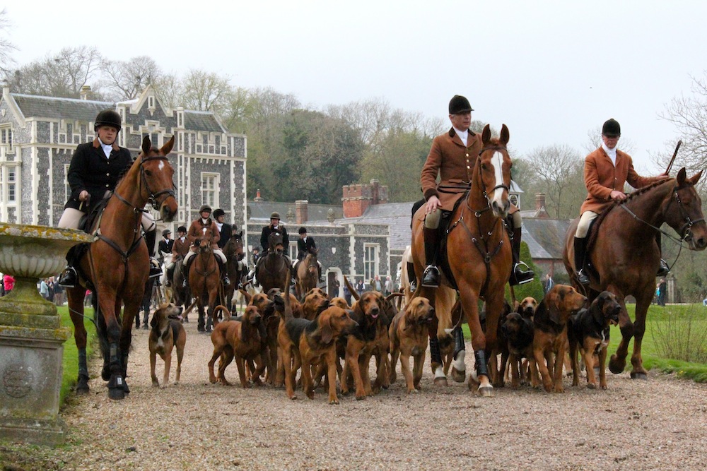 Coakham Bloodhounds 2011