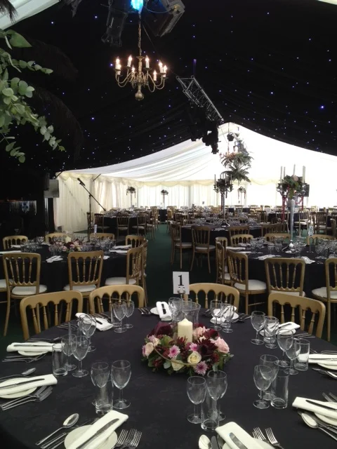 Folkington Manor 2012 opera copy.jpg
