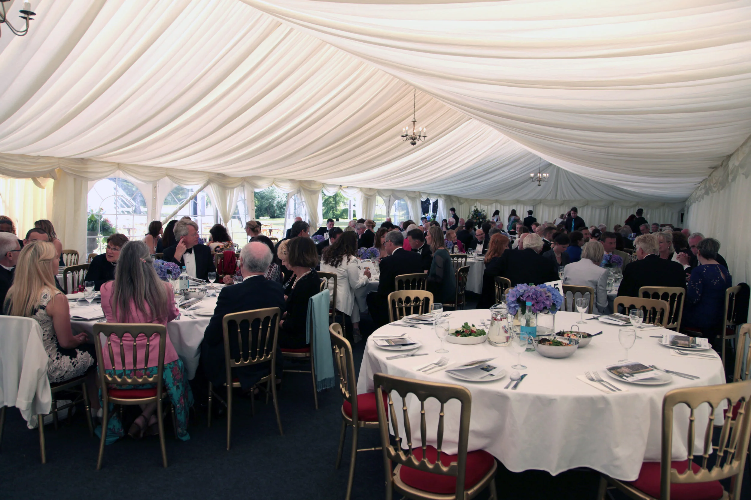 FM MSullivan  (114) 72dpi.JPG