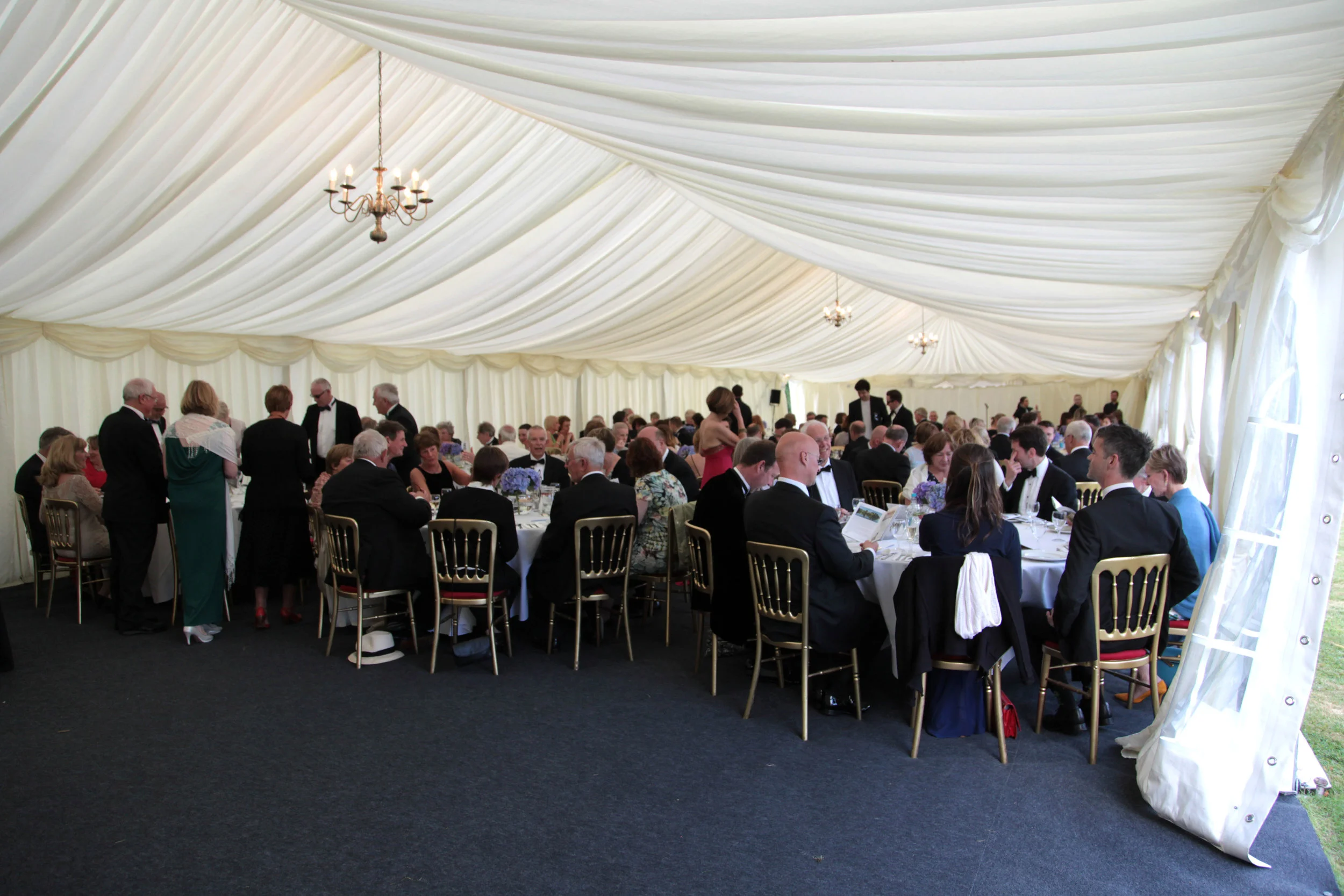 FM MSullivan  (112) 72dpi.JPG