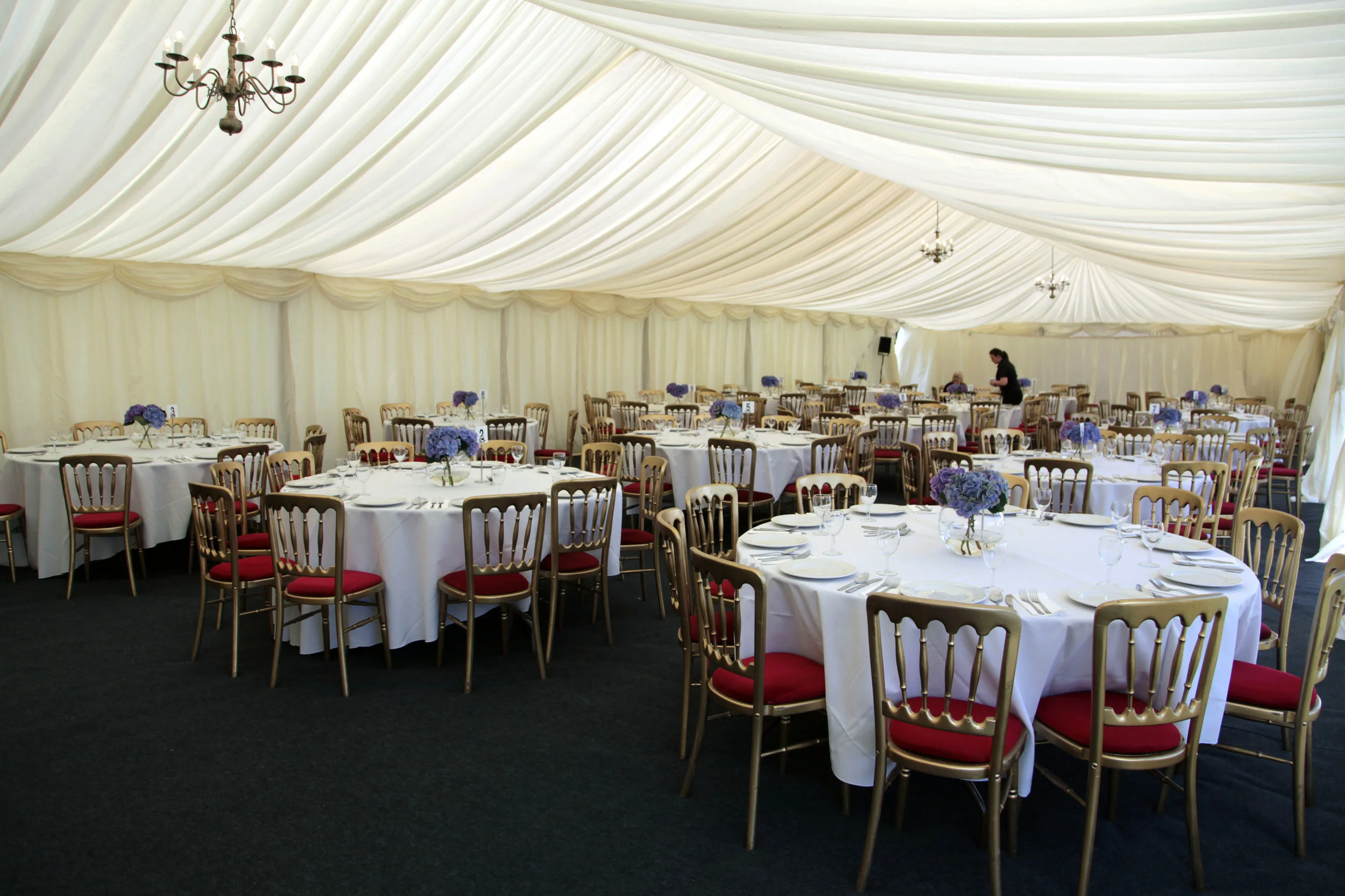 FM MSullivan  (2) 72dpi.JPG