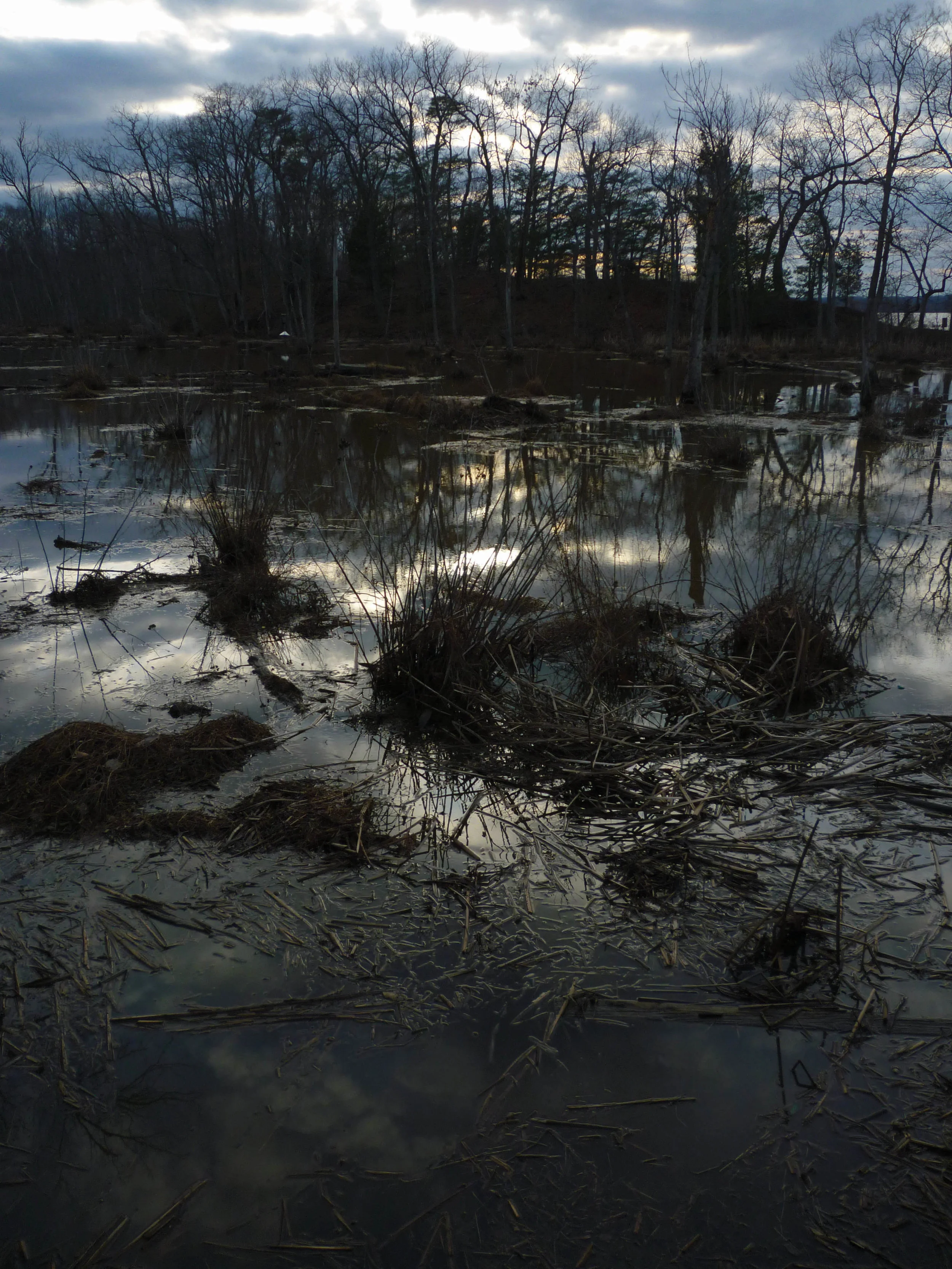 P1020851.JPG