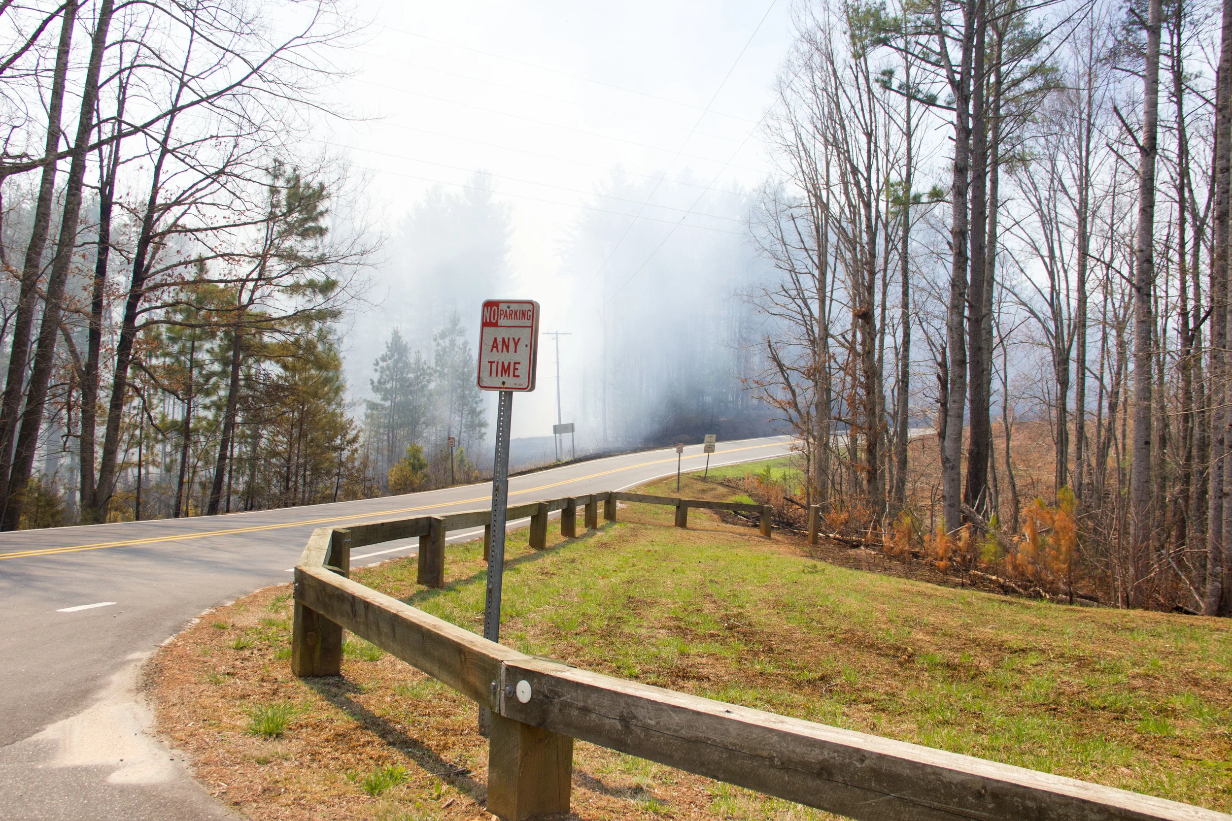 Smoky mountain road