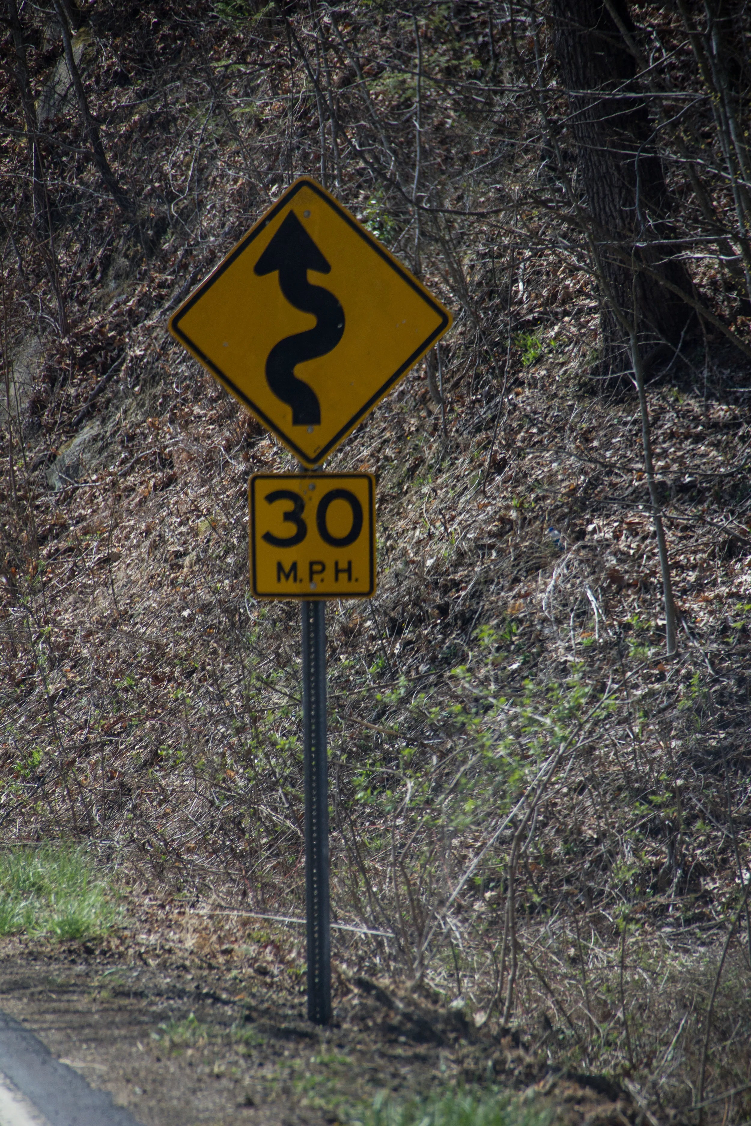 IMG_9765.jpg