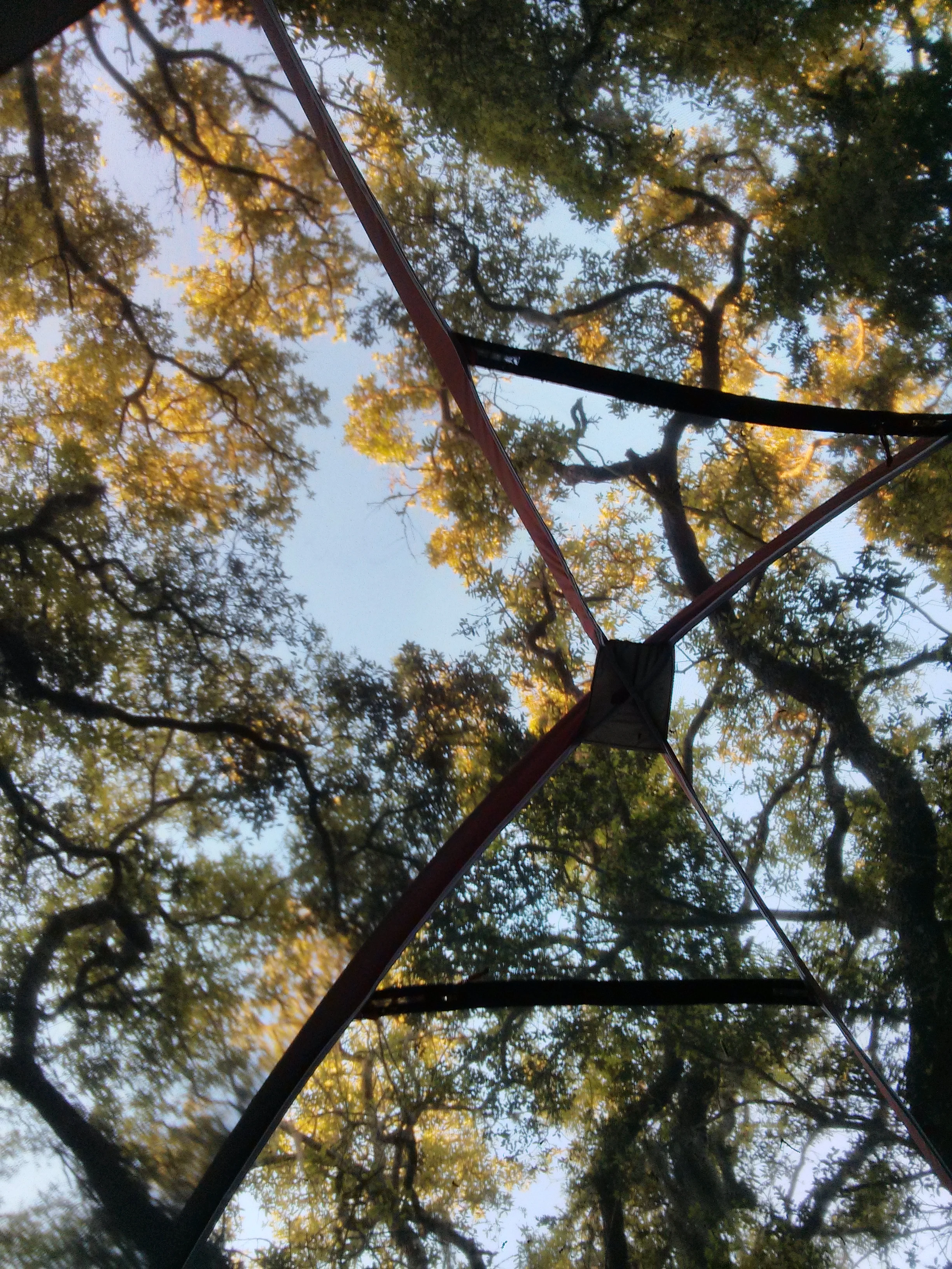 Sun/moon roof