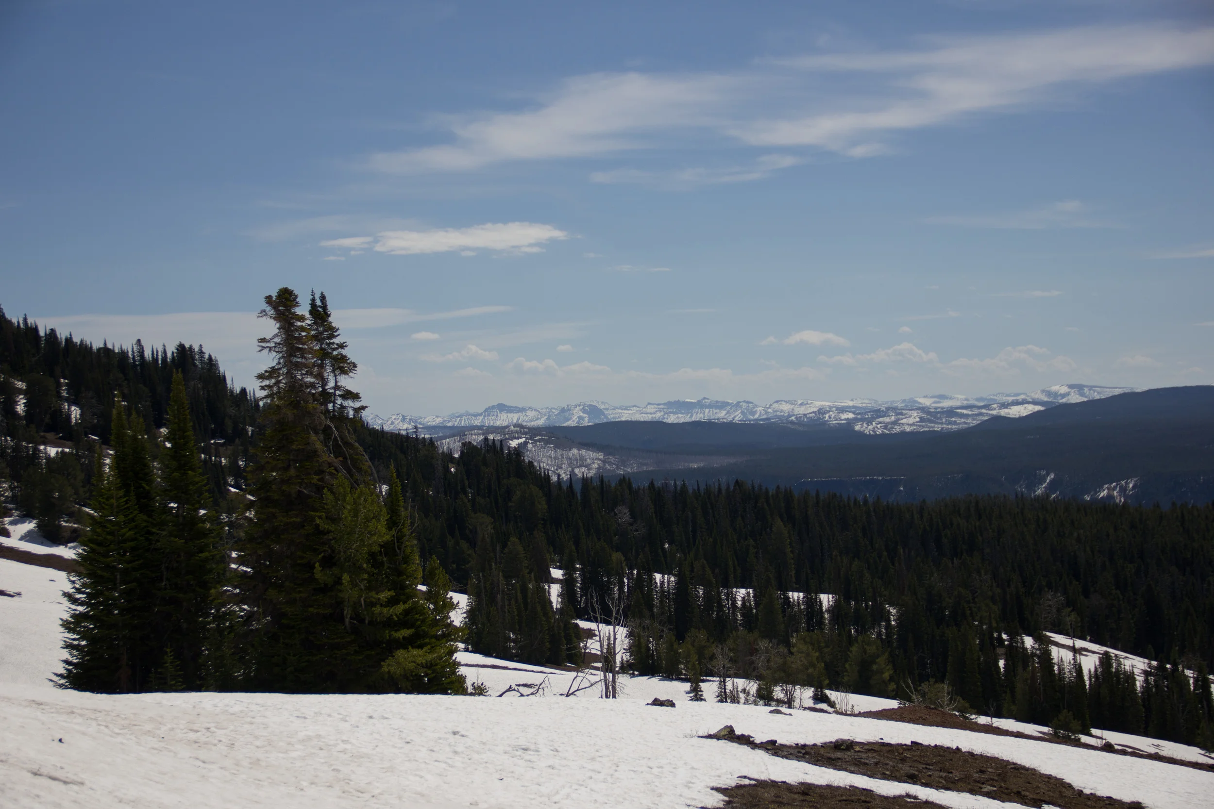 Snow and hot springs: one day