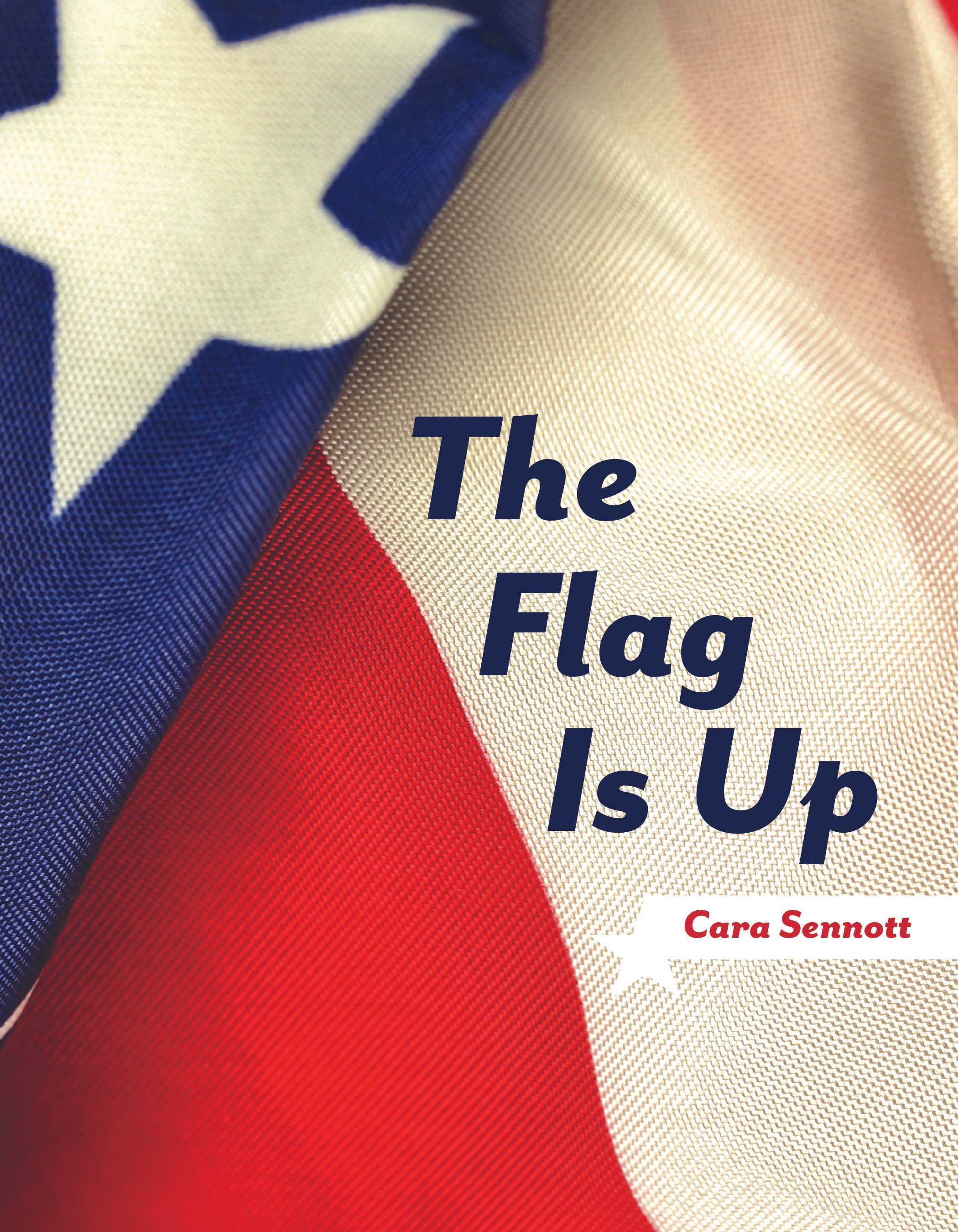 The Flag is Up cover.jpg