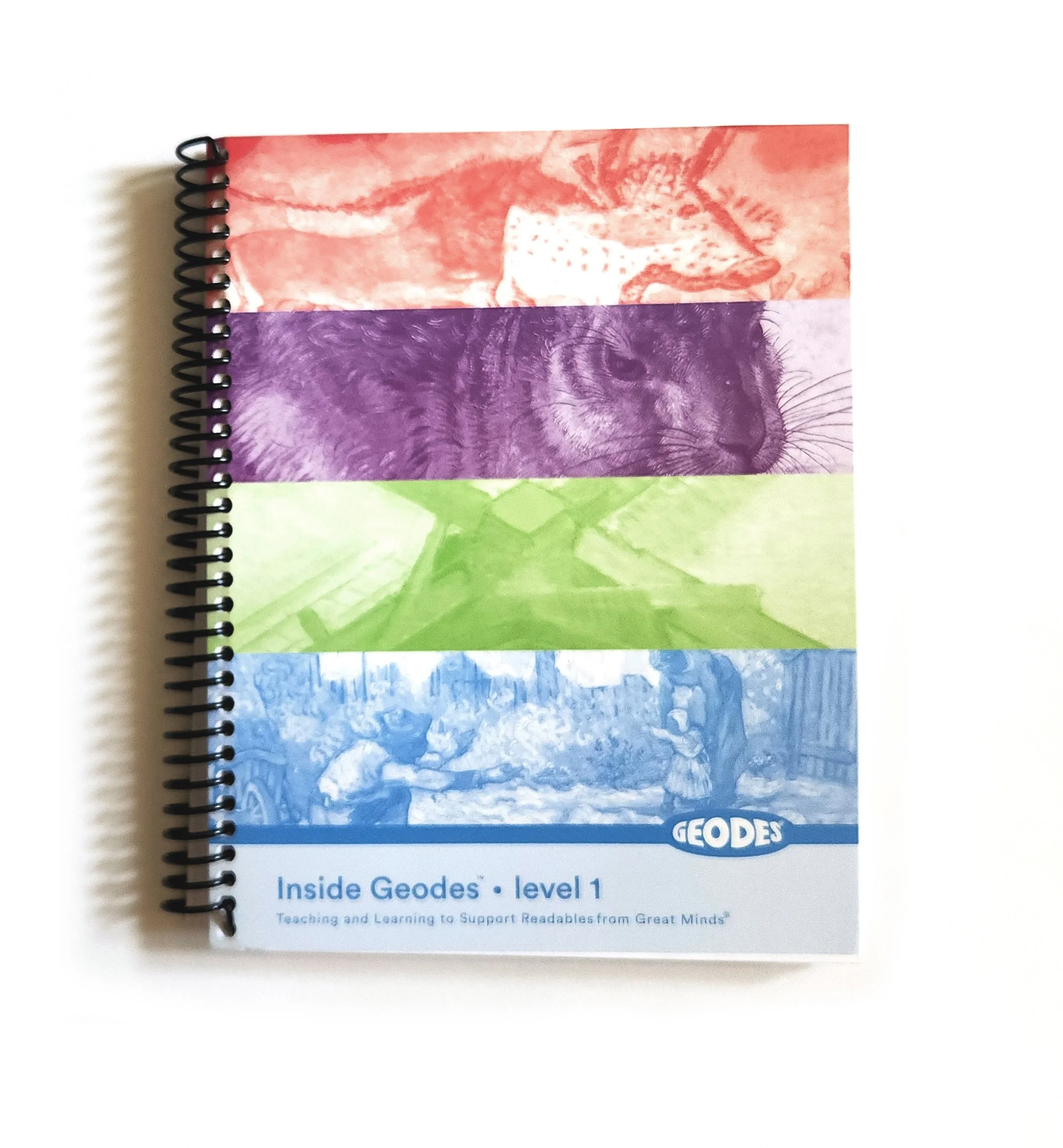 Inside Geodes cover.jpg