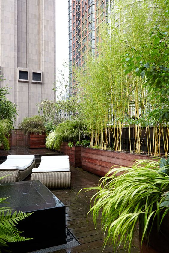 Nyc Backyard Rooftop Garden Designer For The Beautifully Wild