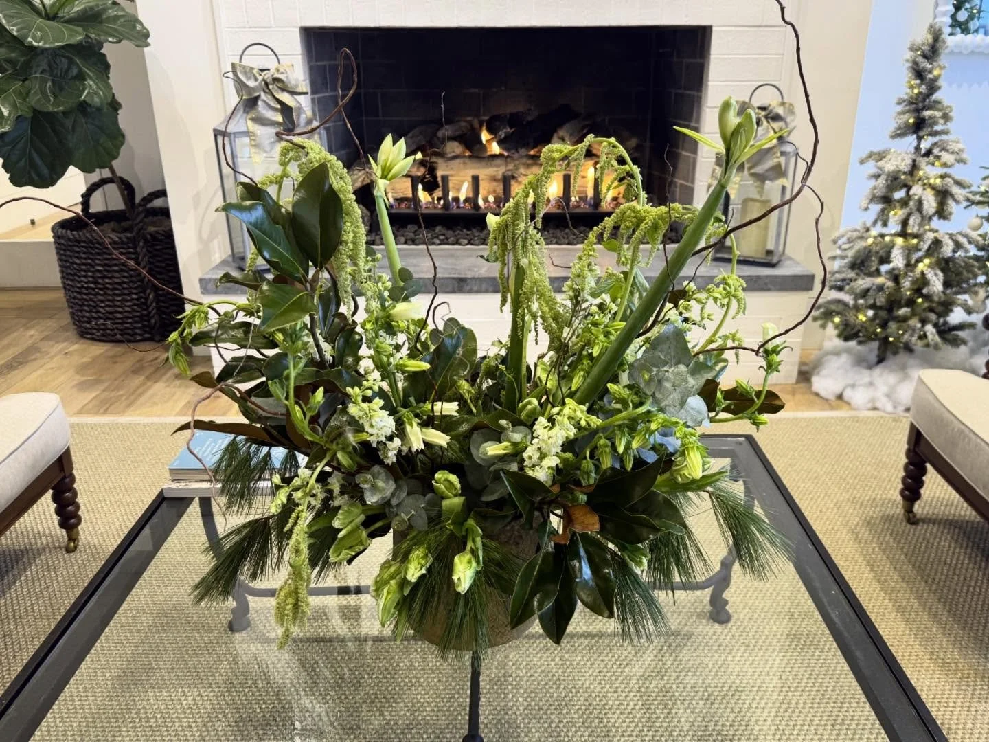 Wishing a wild Christmas to those who celebrate!

#fingerlakes #christmas #holiday #holidaydecor #evergreens