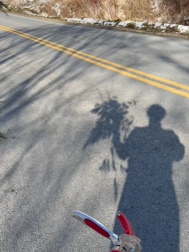 I&rsquo;ve been quiet of late. So much to digest in this crazy world of ours. And I&rsquo;ve been taking advantage of the fall/winter seasons&rsquo; slow down to take a breath - and to give myself the time to process whatever comes my way. But here a