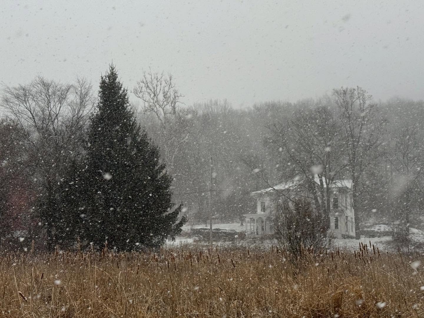 Mother nature telling us to slow dawn, take it in - and not rush on to the next thing, with this post Christmas storm. Also, it&rsquo;s never too cold to make a wish.

#flxoutdoors #flx #holidays #inspiredbynature #upstateny