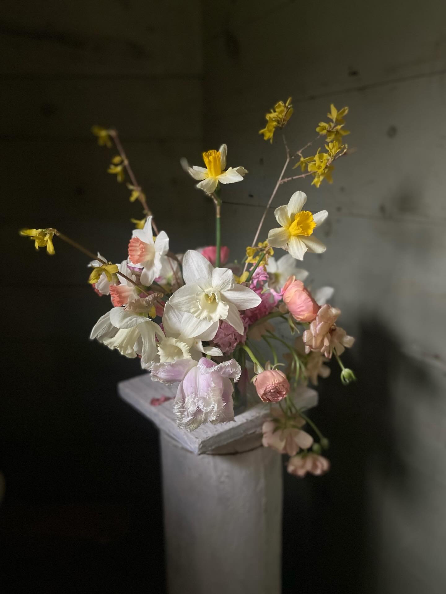 Missing my cutting gardens and spring and summer studio work&hellip; That said, I&rsquo;m growing a few pretties in the basement and in sunny windows, and I&rsquo;ve started forcing branches, so it shouldn&rsquo;t be too long before I get to play aga