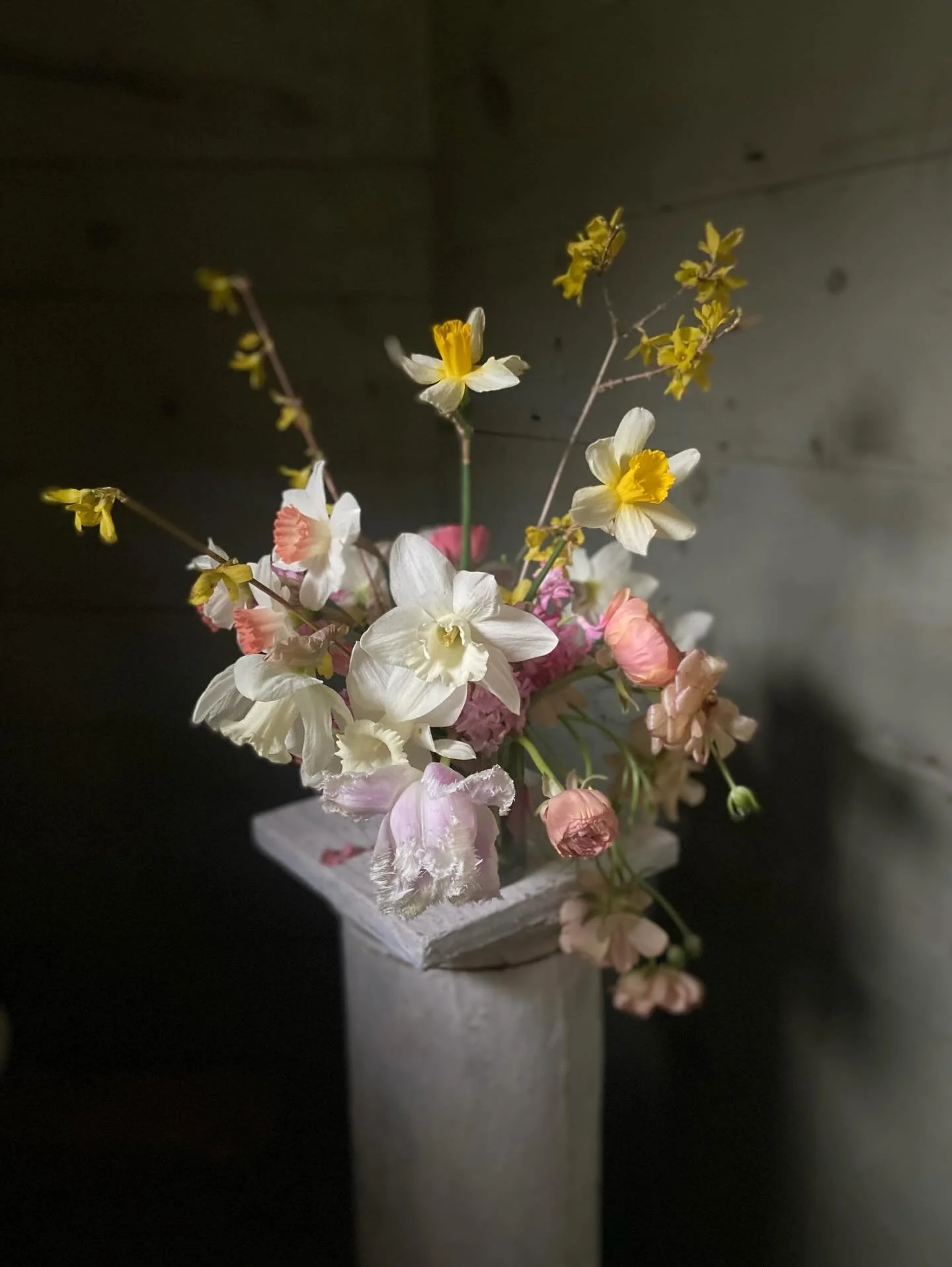 Missing my cutting gardens and spring and summer studio work&hellip; That said, I&rsquo;m growing a few pretties in the basement and in sunny windows, and I&rsquo;ve started forcing branches, so it shouldn&rsquo;t be too long before I get to play aga