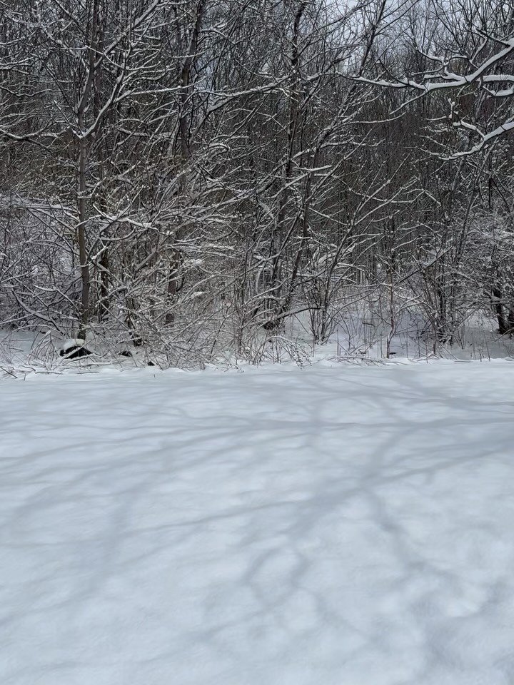 When I said last week that I&rsquo;d be posting some hopeful spring images in weeks to come, this is not what I had in mind. But I&rsquo;ll take sunshine anyway I can get it. Happy almost spring from The Finger Lakes.

#spring #upstateny #springequin