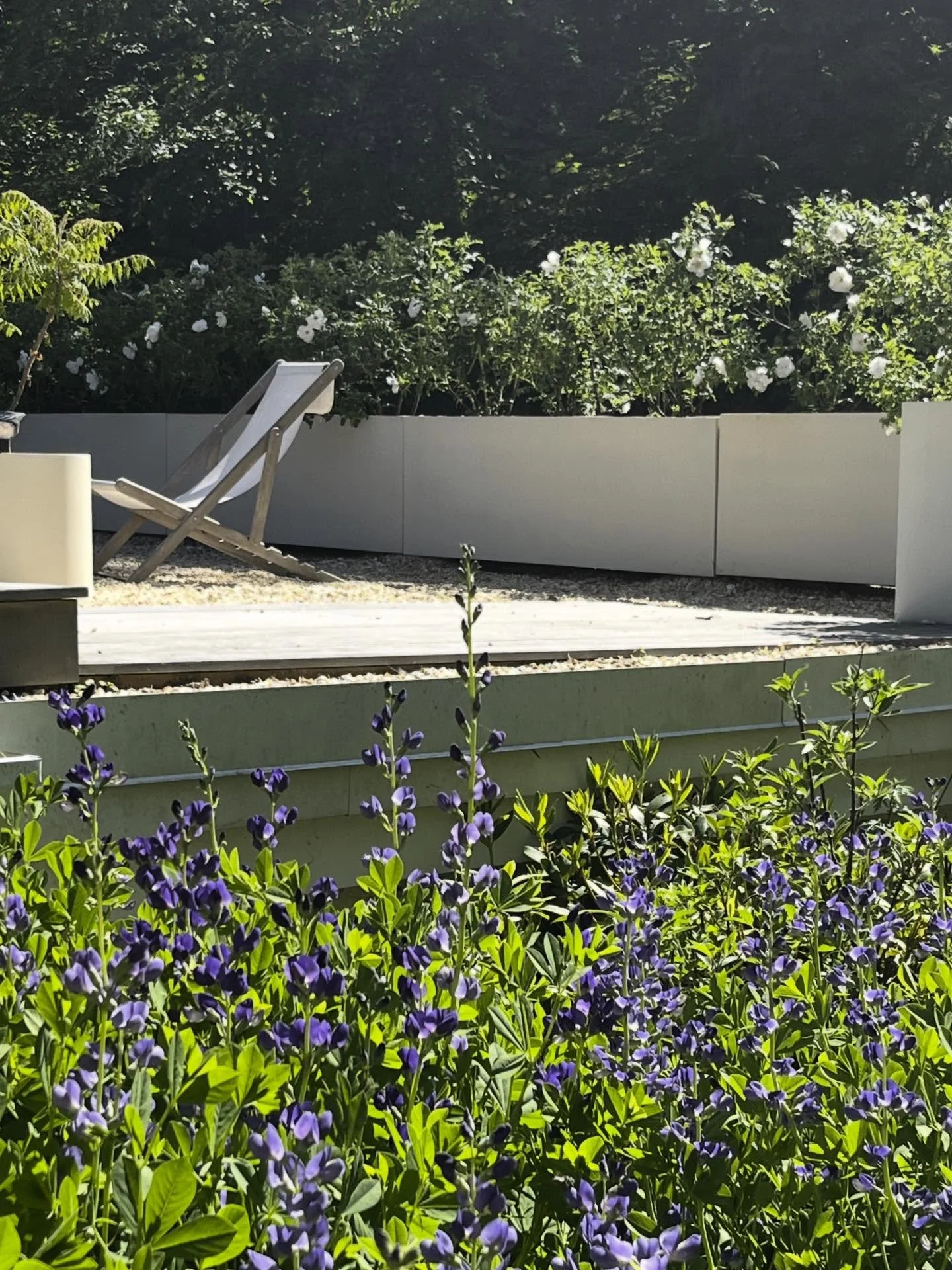 I&rsquo;ve posted a lot of winter whites lately, but it&rsquo;s 12 degrees today so for now, I&rsquo;ll pretend I&rsquo;m here. This is a moment from a Westchester County garden we designed and installed, a few moons ago&hellip; bordering a beautiful