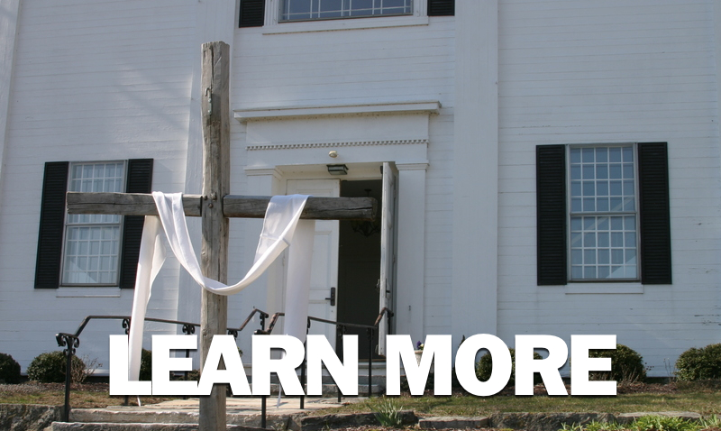 Learn More Header.jpg