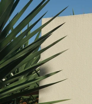 ARCHITECTURAL COATINGS