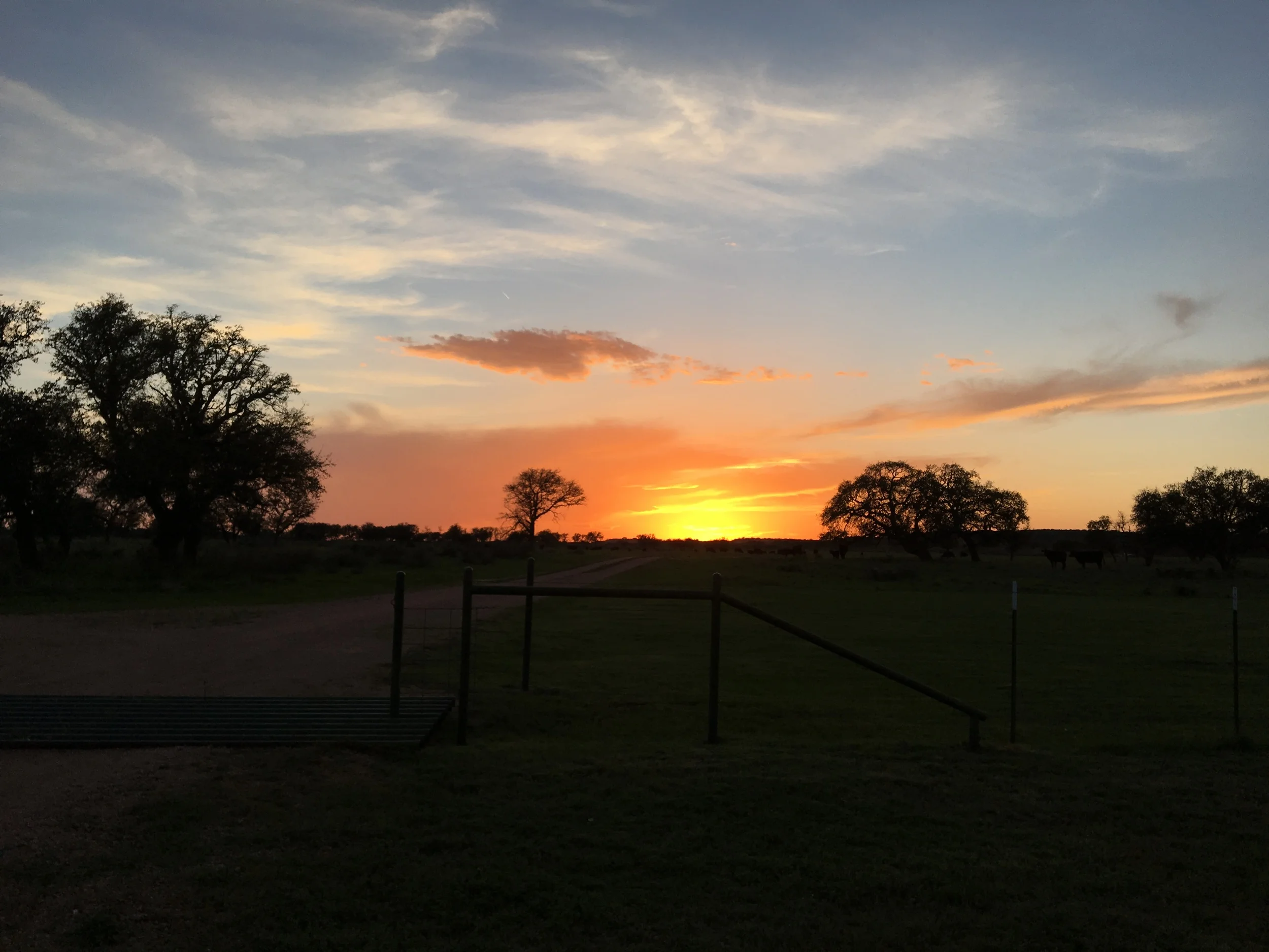 2016-03-26 19.49.42.jpg