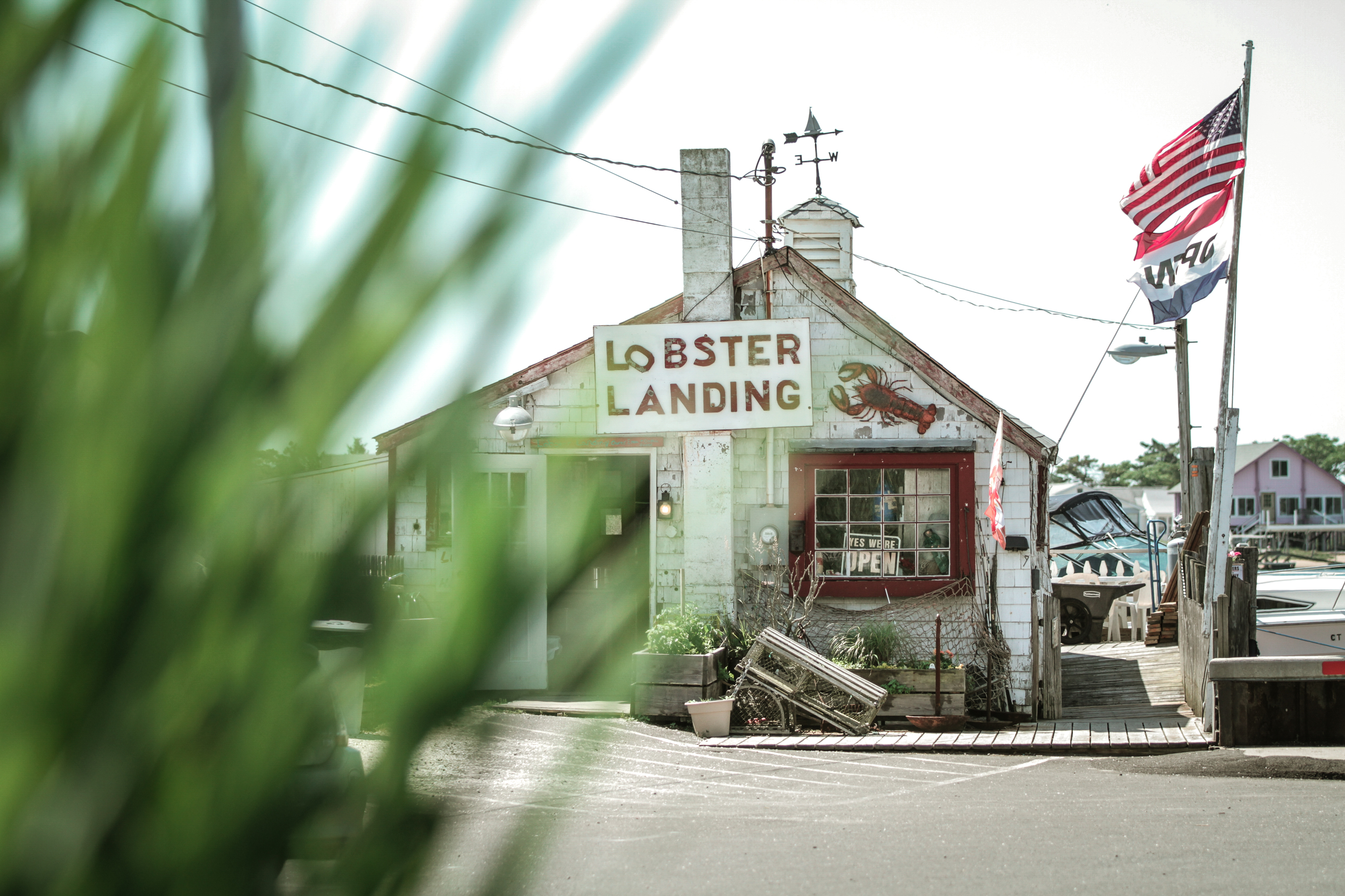  - New England Classic -   Lobster Landing    Read Article  