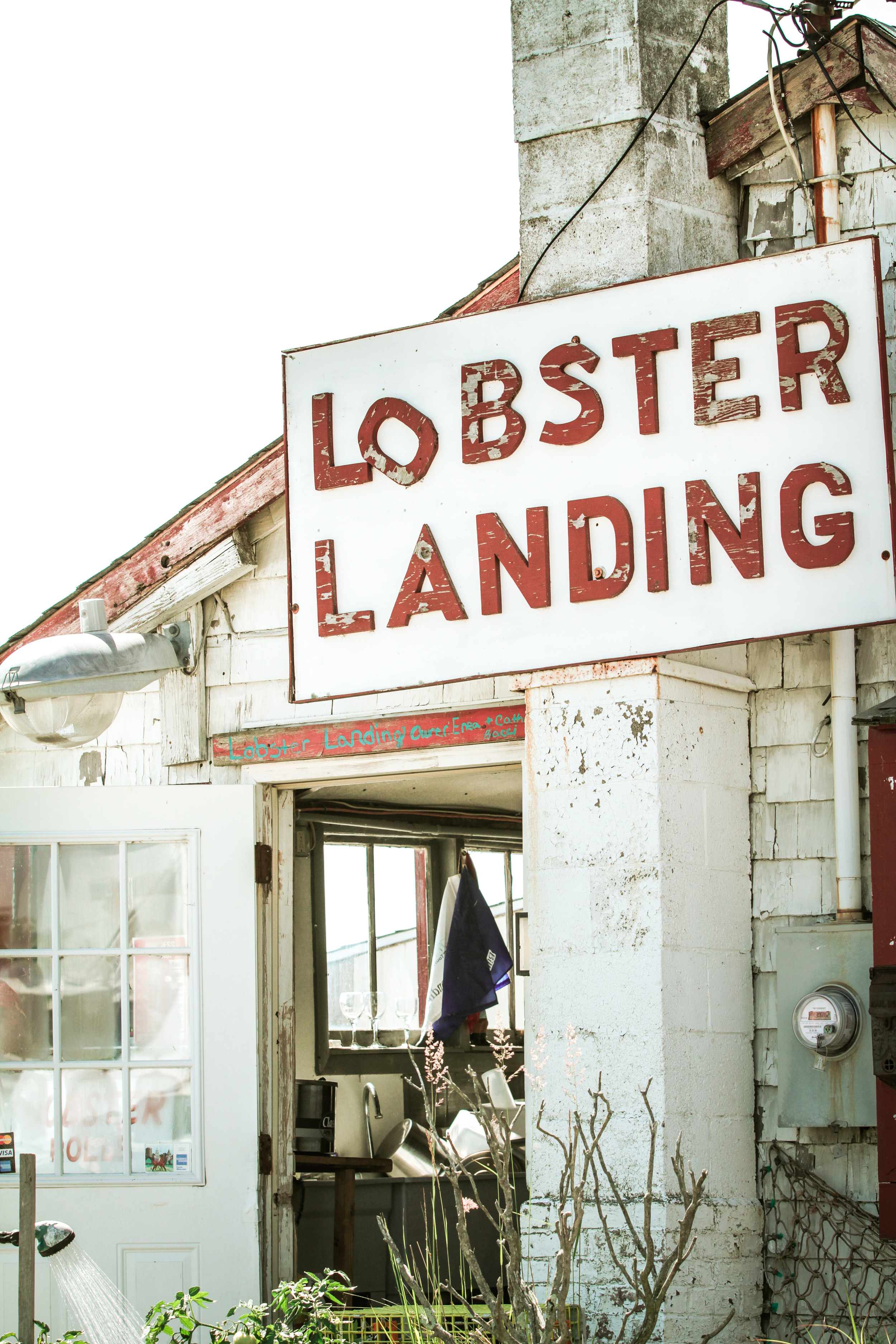 Lobster Landing-1.jpg