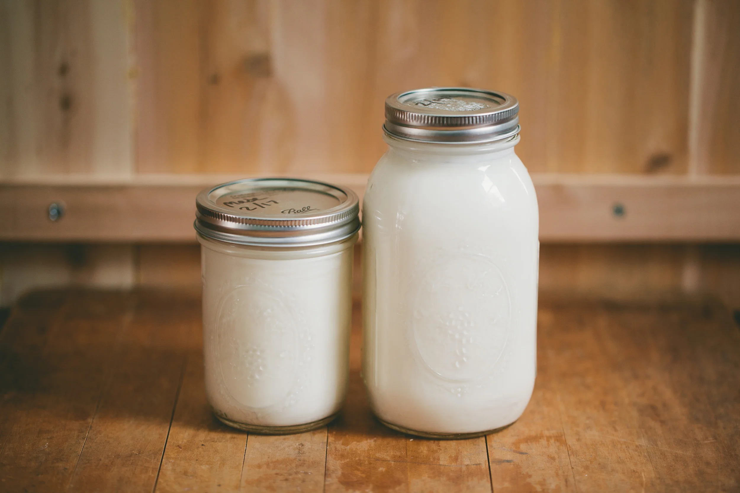 Home Made New England Yogurt