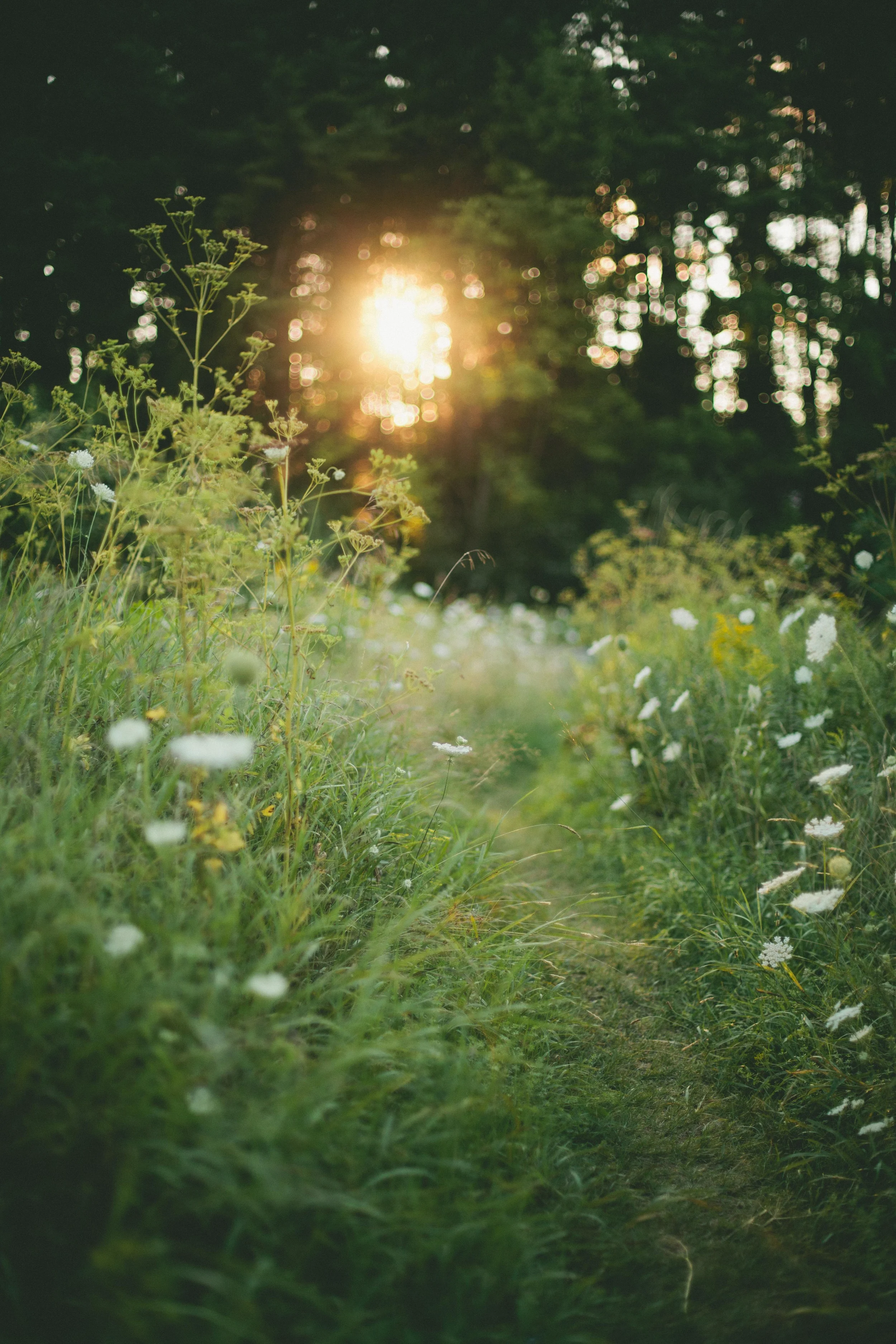 Exploring New England's Parks: Vermont