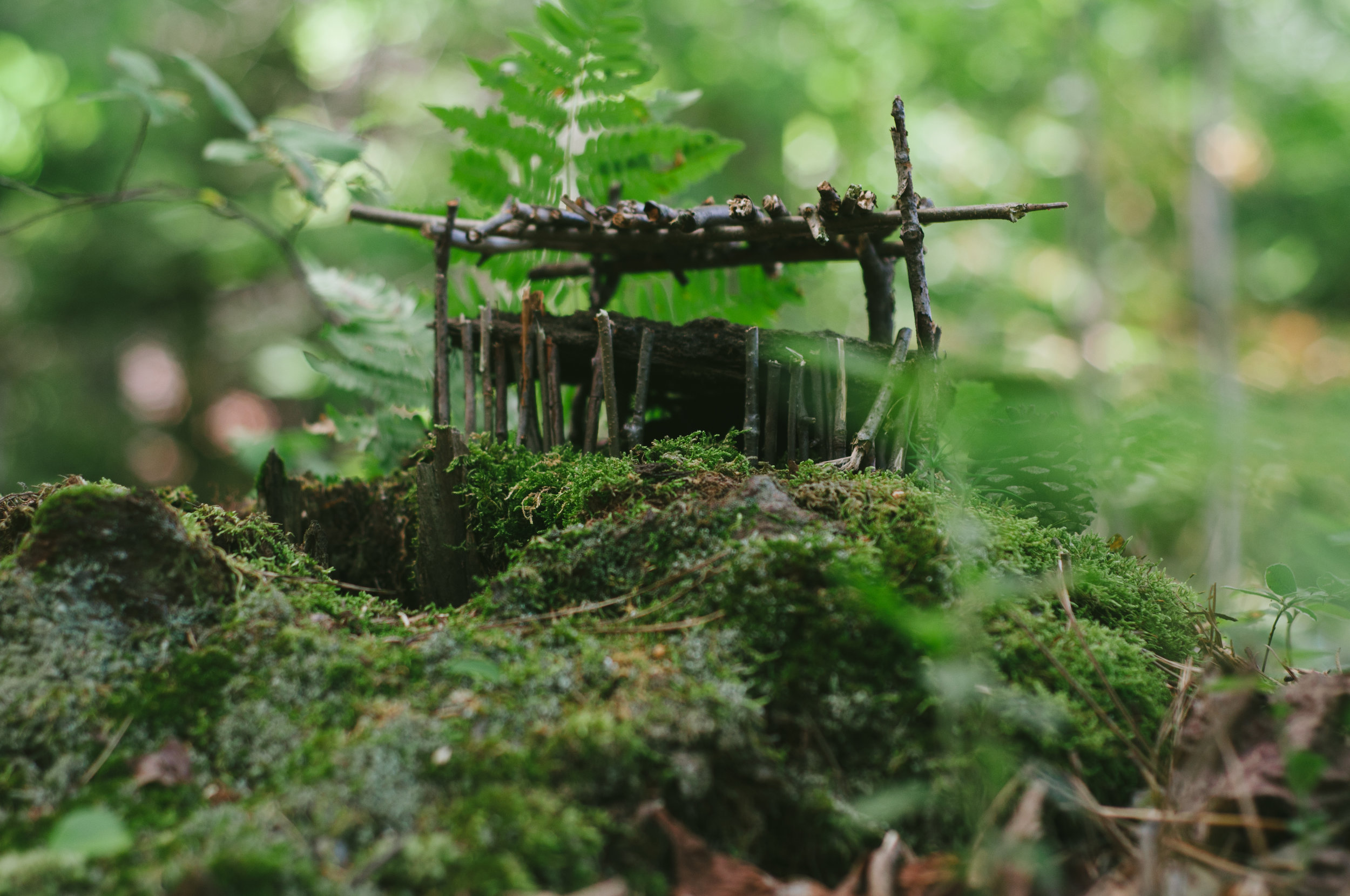 FairyHouses-7.jpg