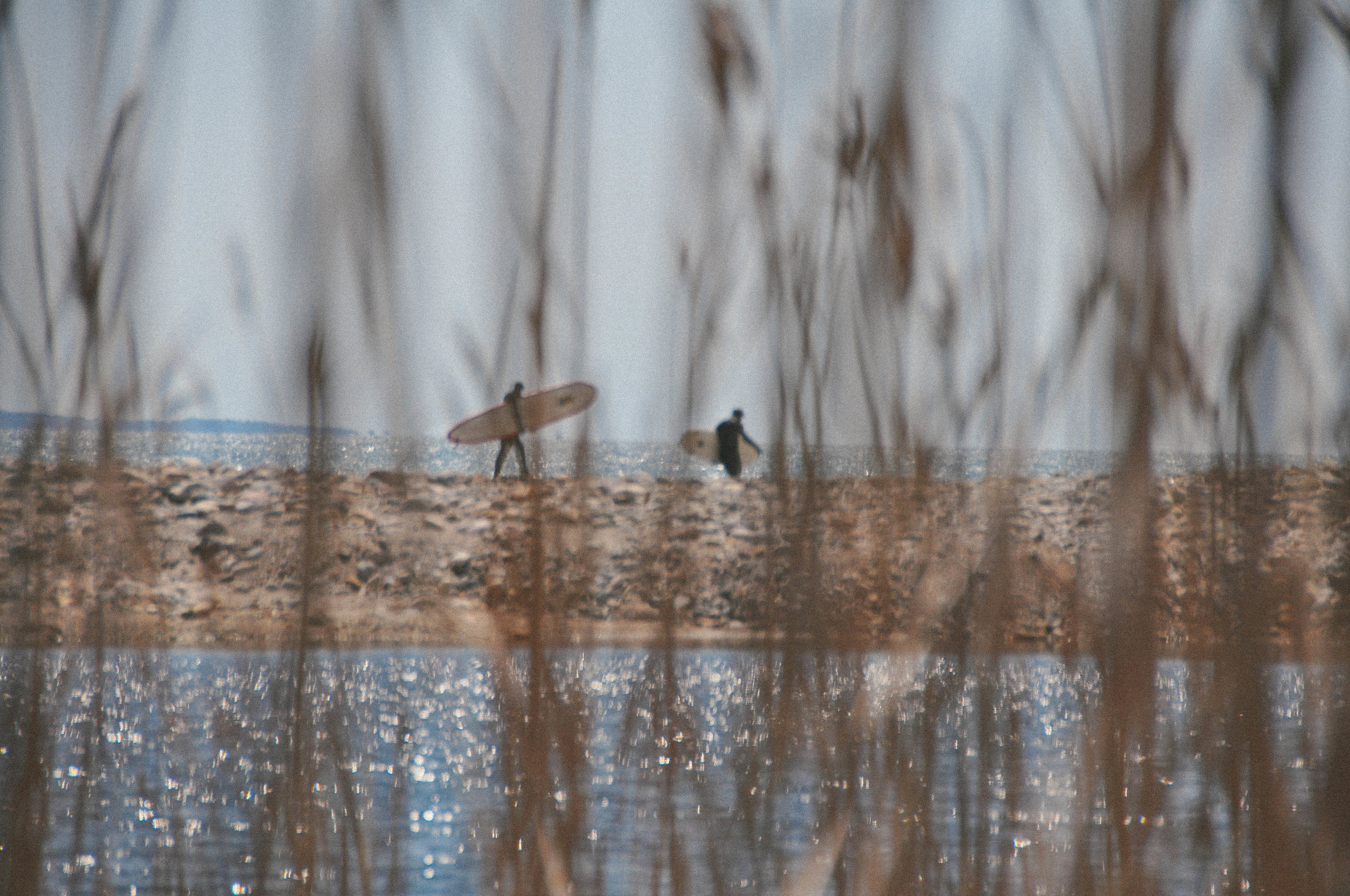 DSC_0190.jpg