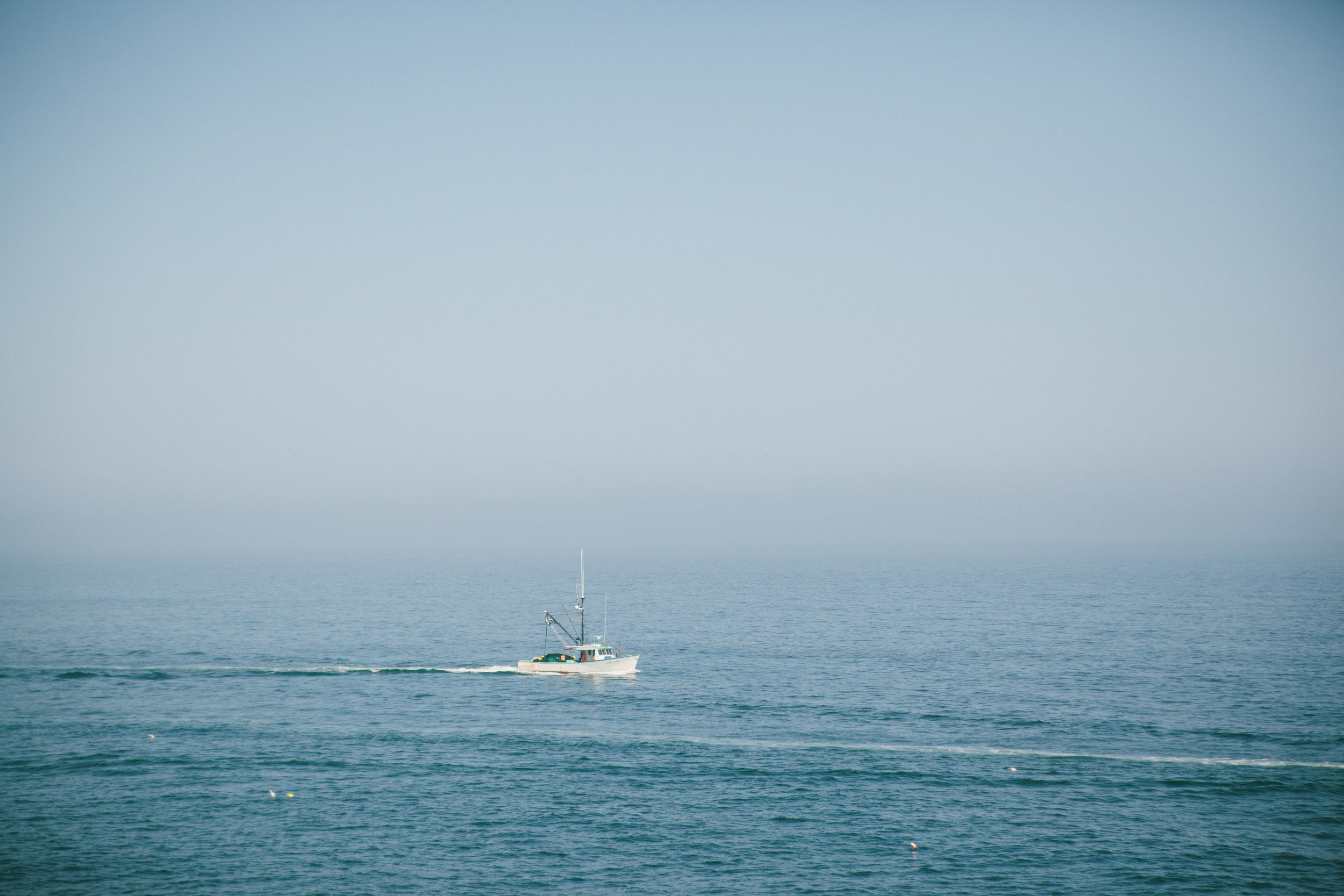 _MG_4887.jpg