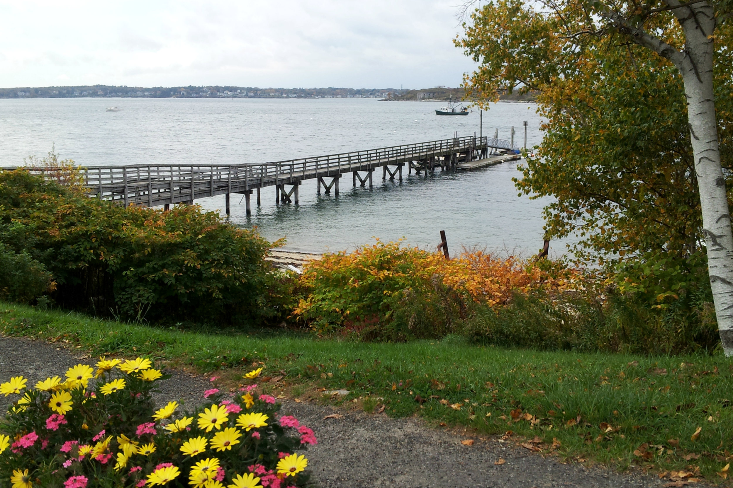 Down Front Peaks Island.jpg
