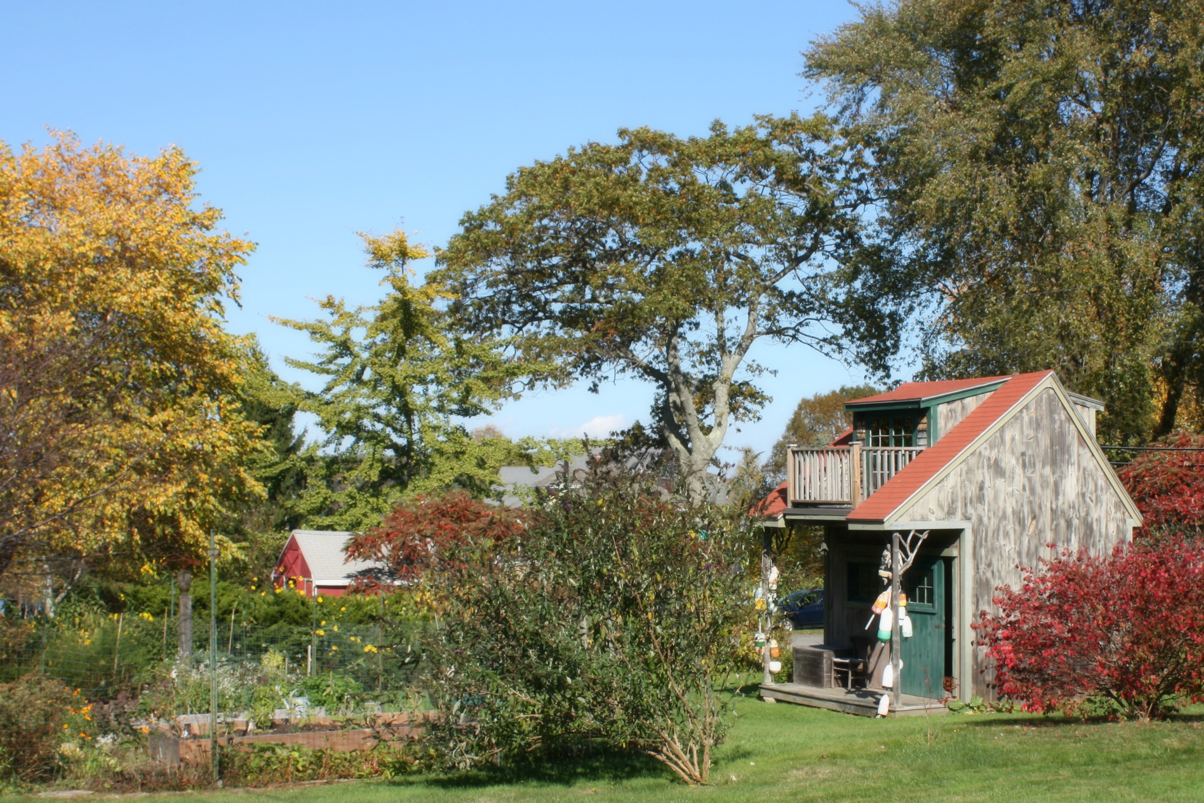 Tiny Cottage Peaks Island.jpg