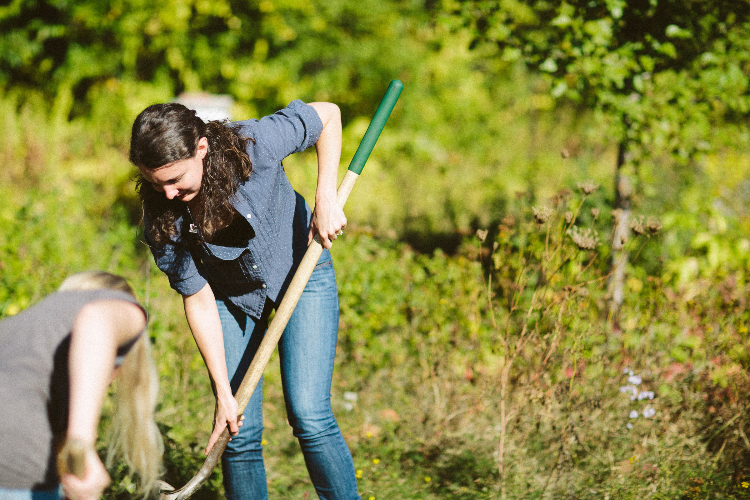 tell-bostonfoodforest-20.jpg