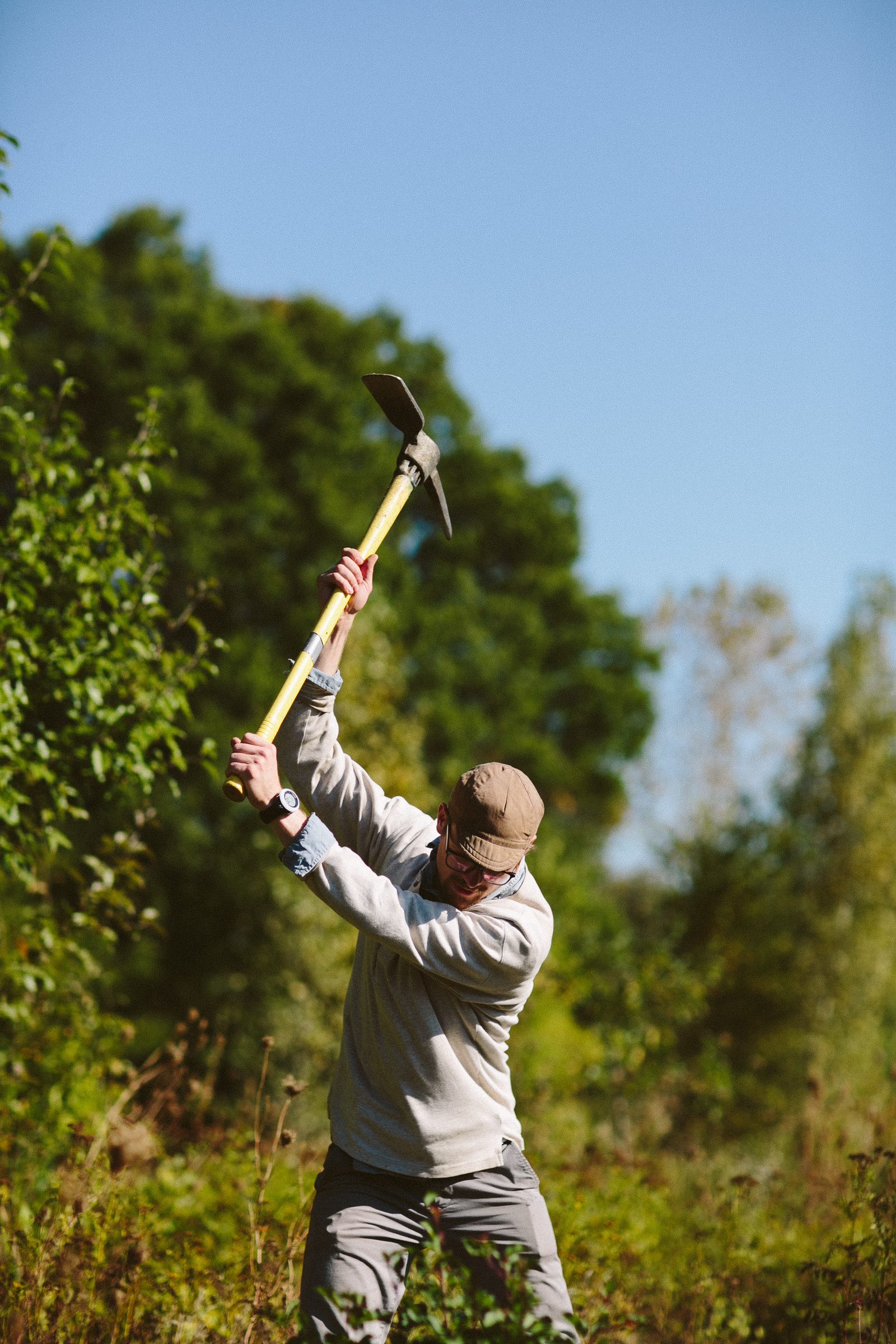 tell-bostonfoodforest-17.jpg