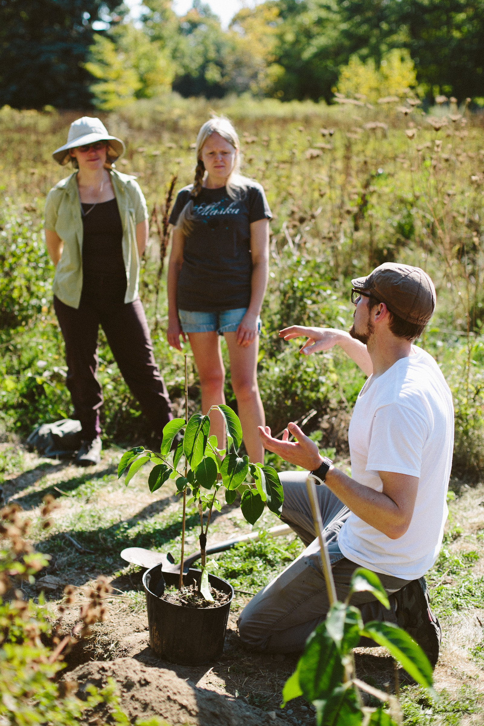 tell-bostonfoodforest-42.jpg