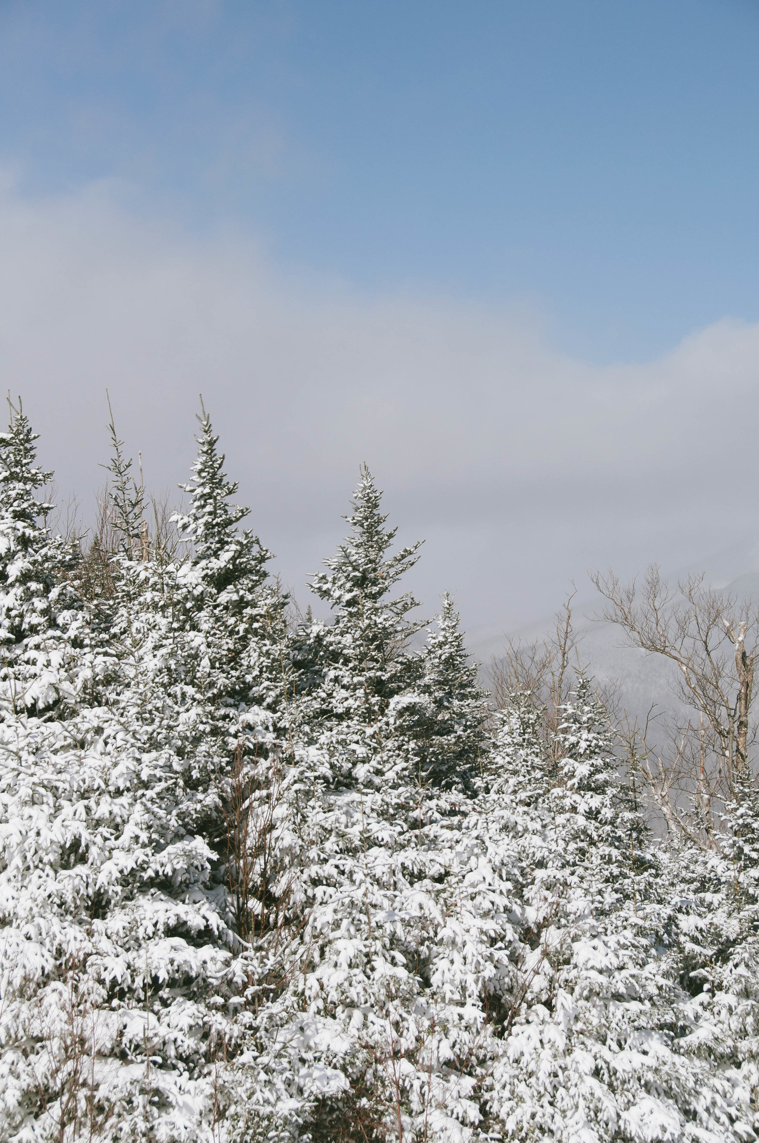 DSC_0598.jpg