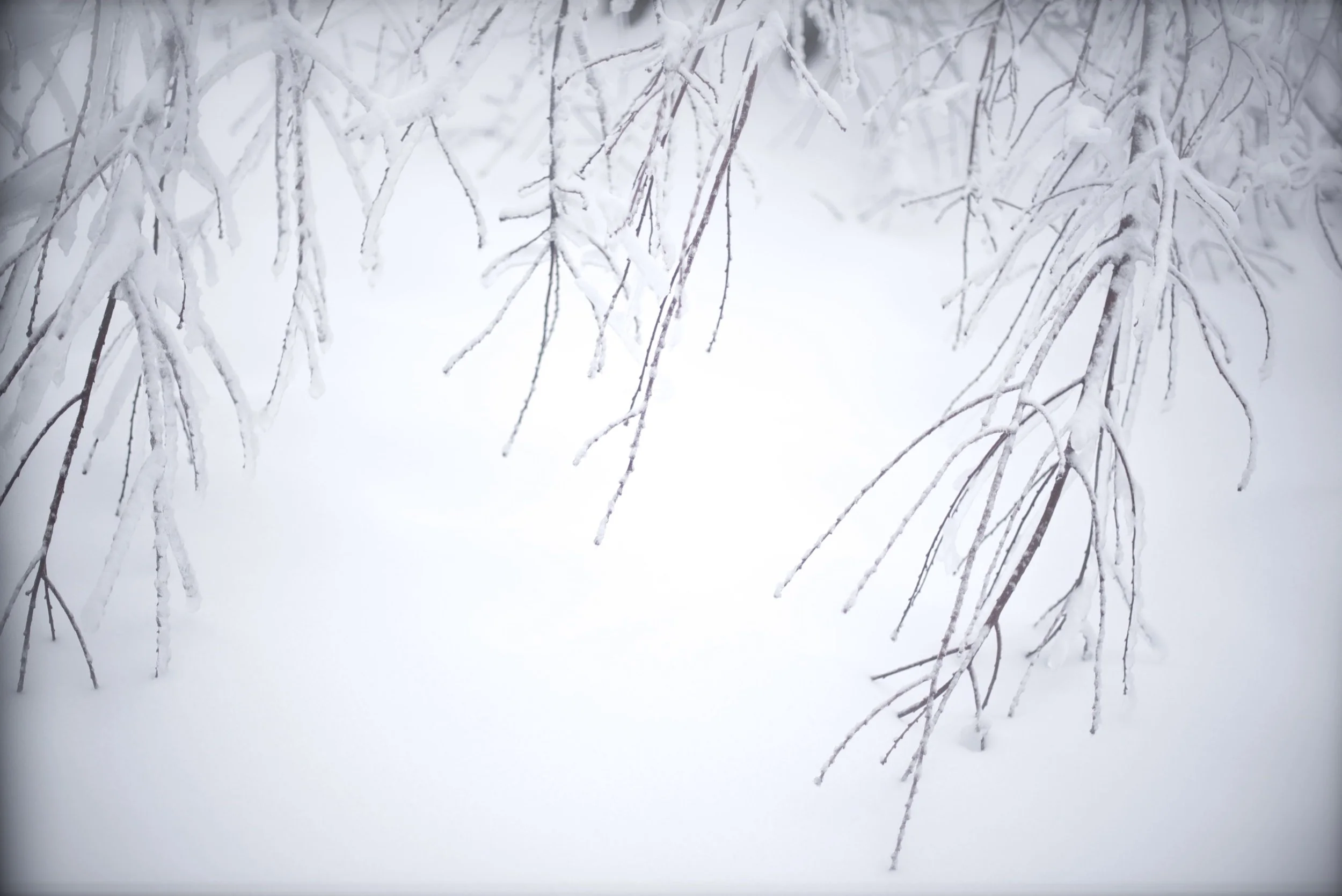 When I Think of Winter