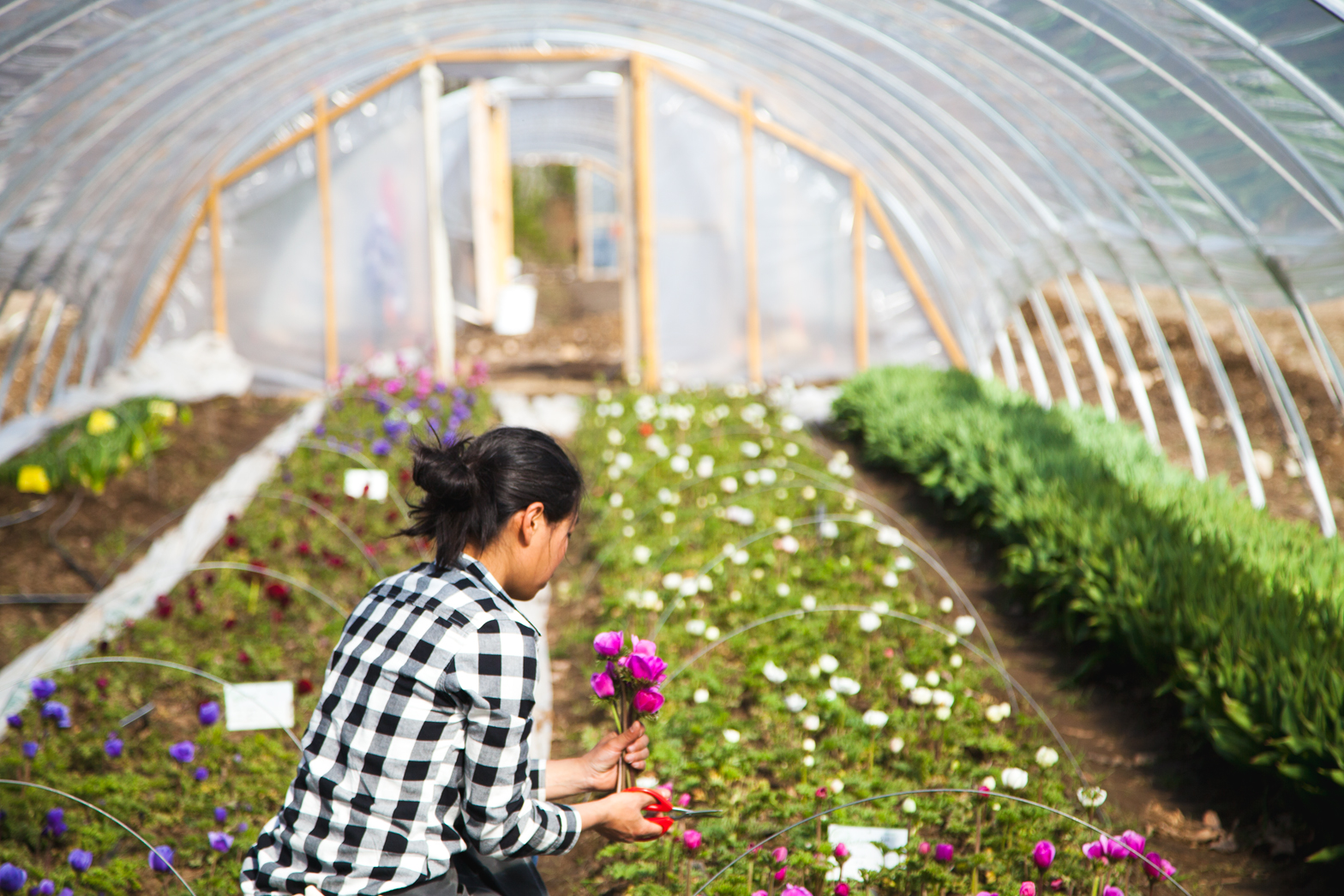 Fivefork Farms - 05.jpg
